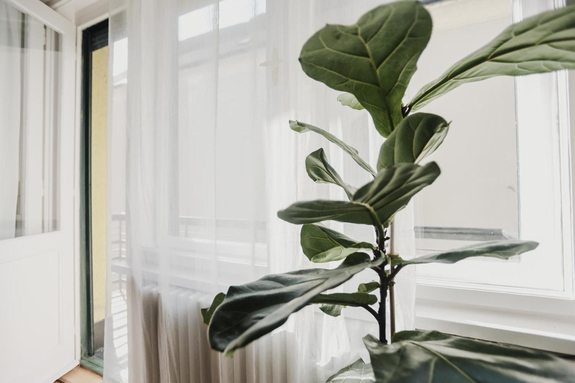 New 1bdr Modern Bauhaus Flat Appartamento