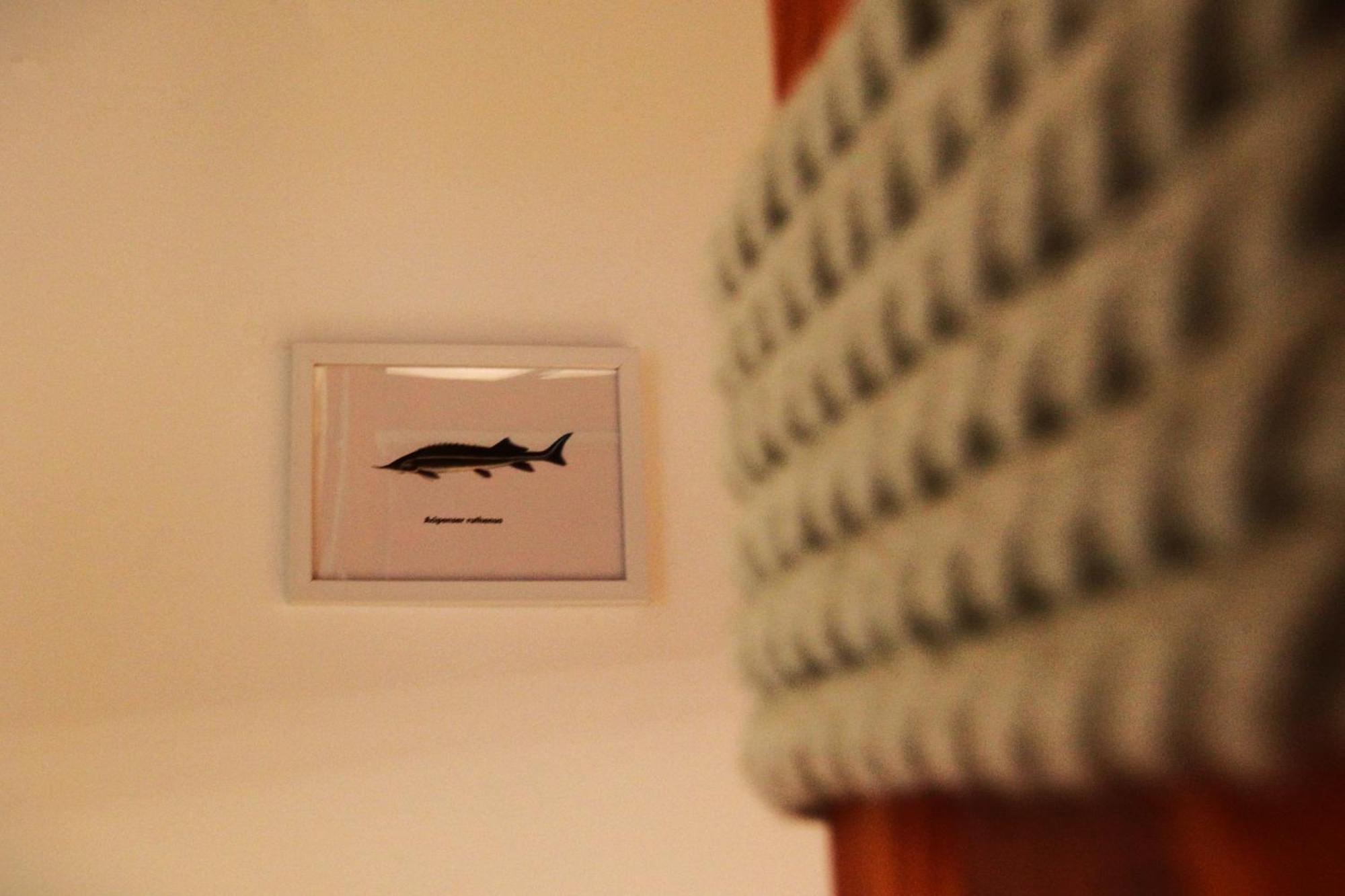 Goldcentral Danube Apartamento