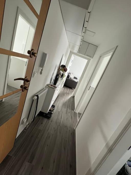 Paskal Rose Luxury Penthouse With Free Parking