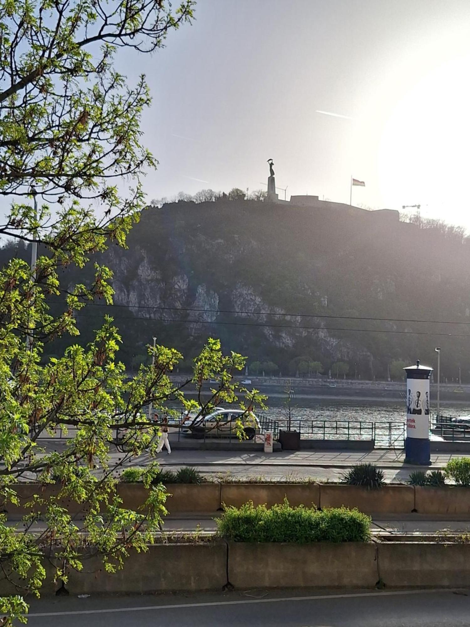 Danube View *