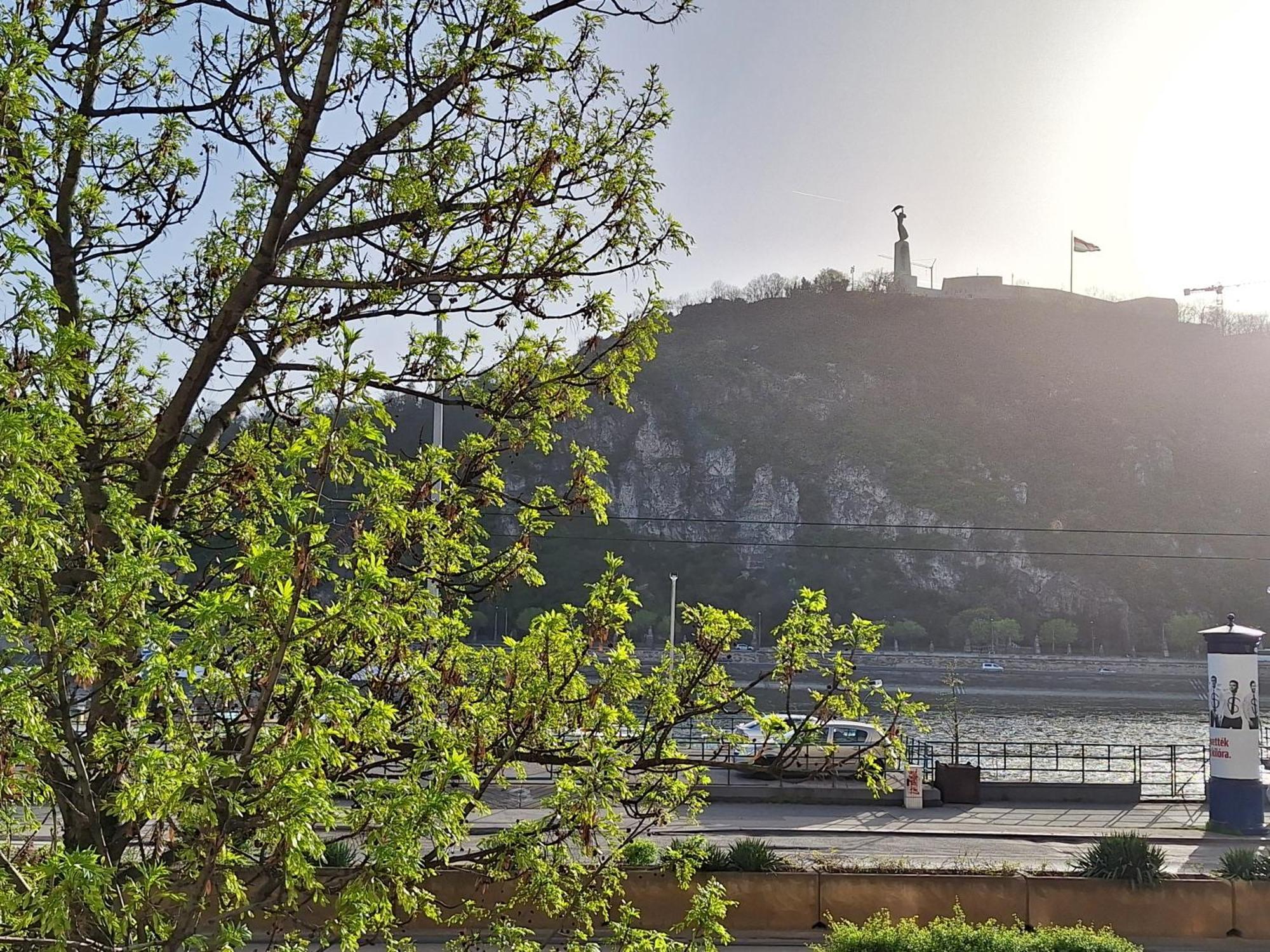 Danube View