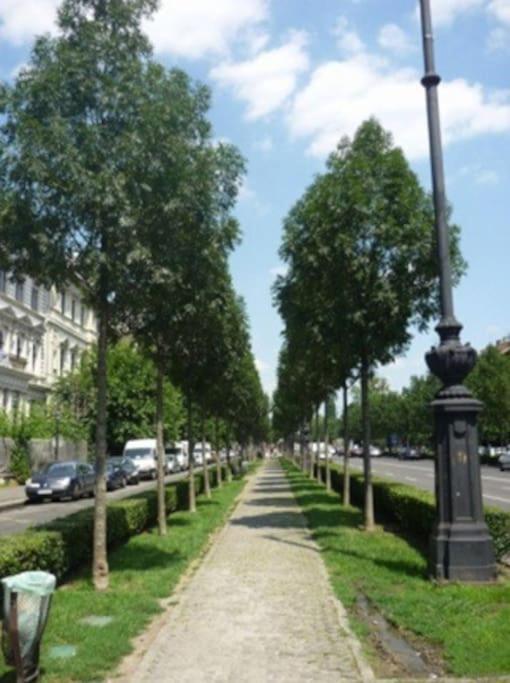 Andrassy - Kodaly Heritage Building Budapest