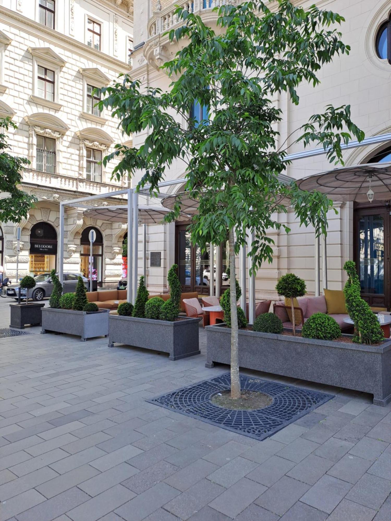 Cute Downtown Apartamento Budapest