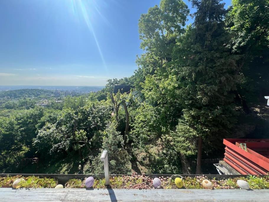 Hillside *