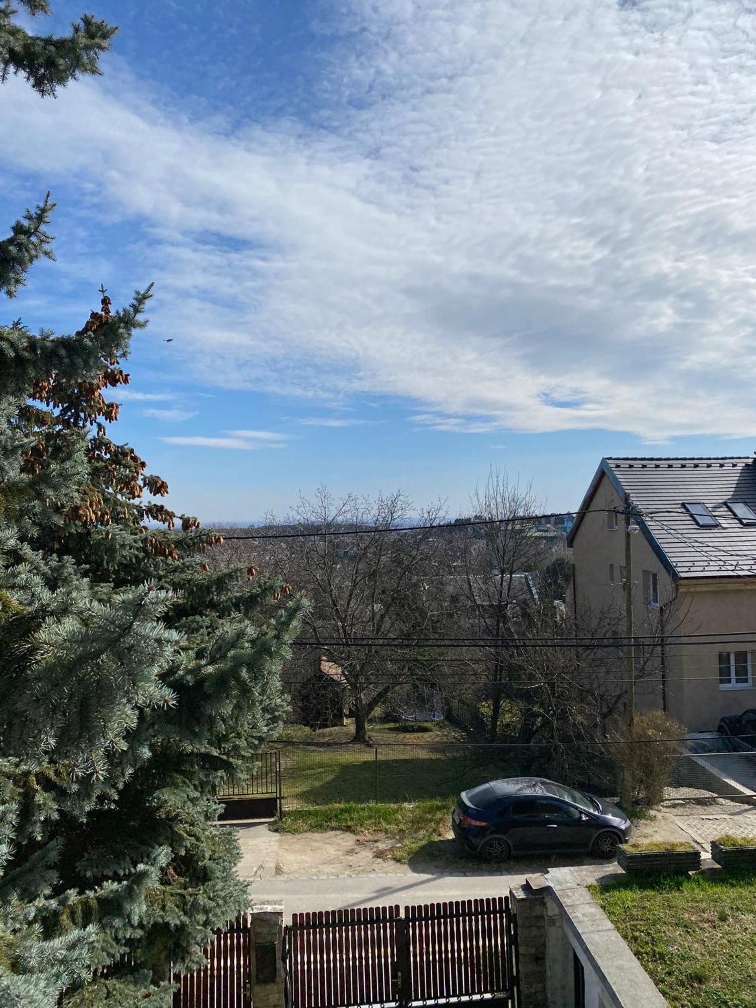 Villa Luxury 3 Bedroom In A Forest 10min Drive From Center Budapest