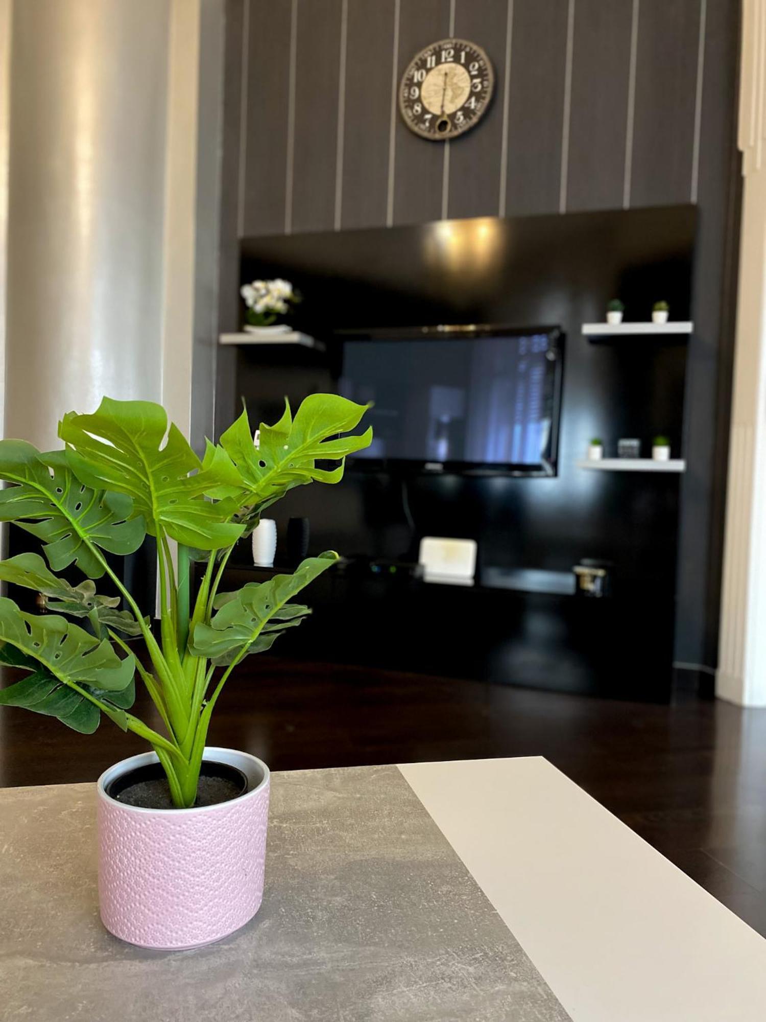 Unique And Spacious In Downtown *