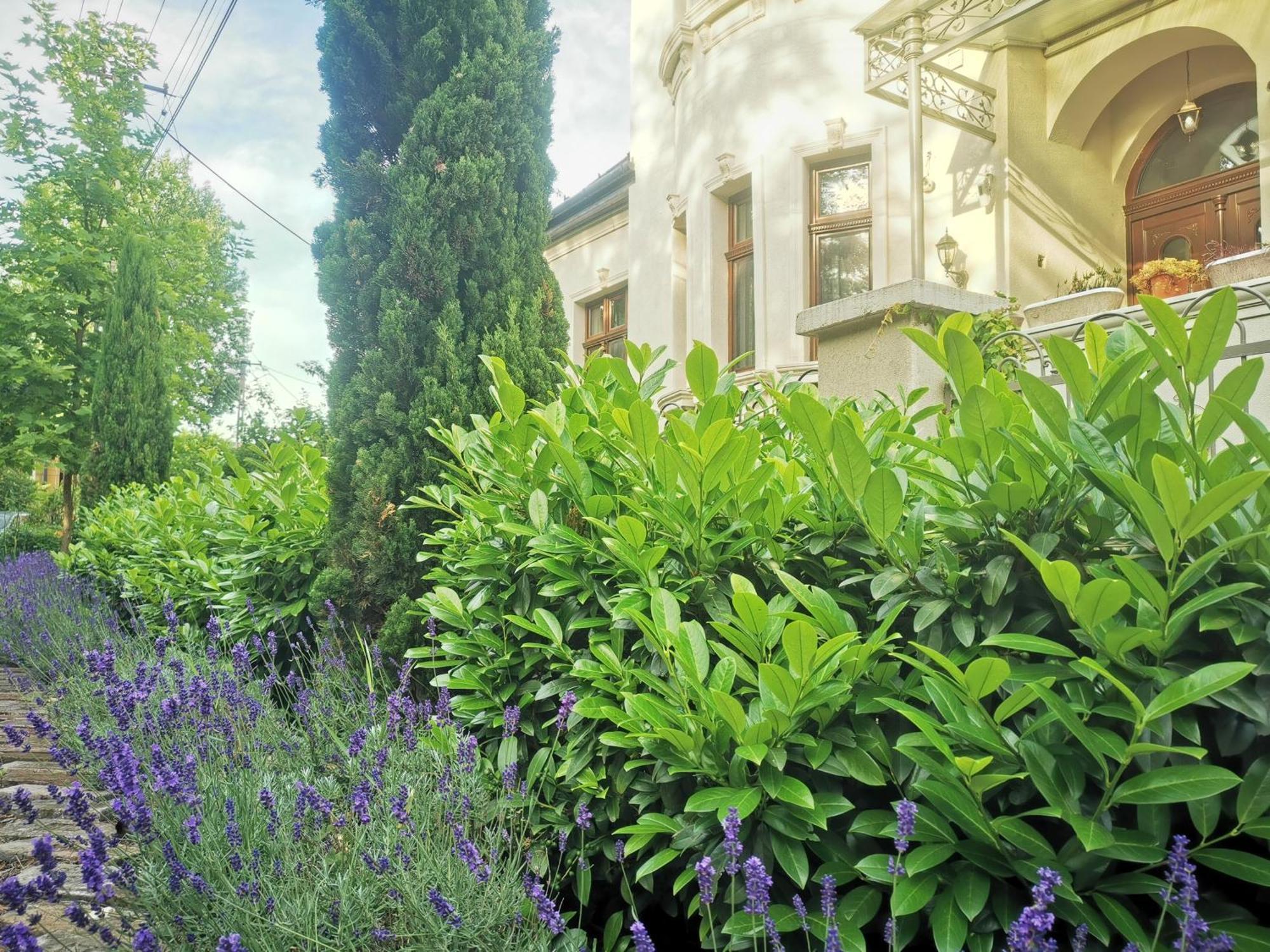 Kuria With Free Parking * Budapest