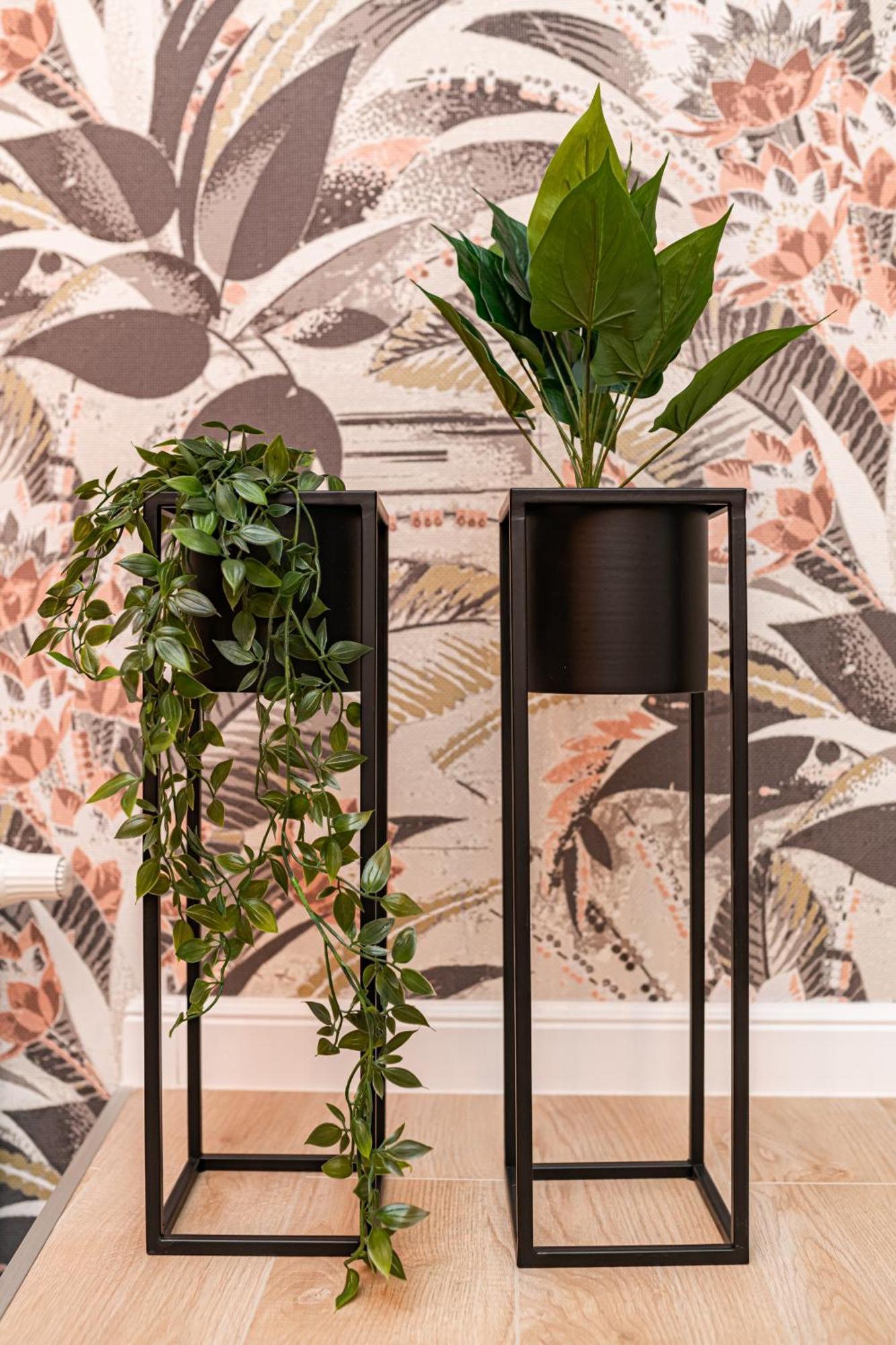 Luxury Tropical At Budapest