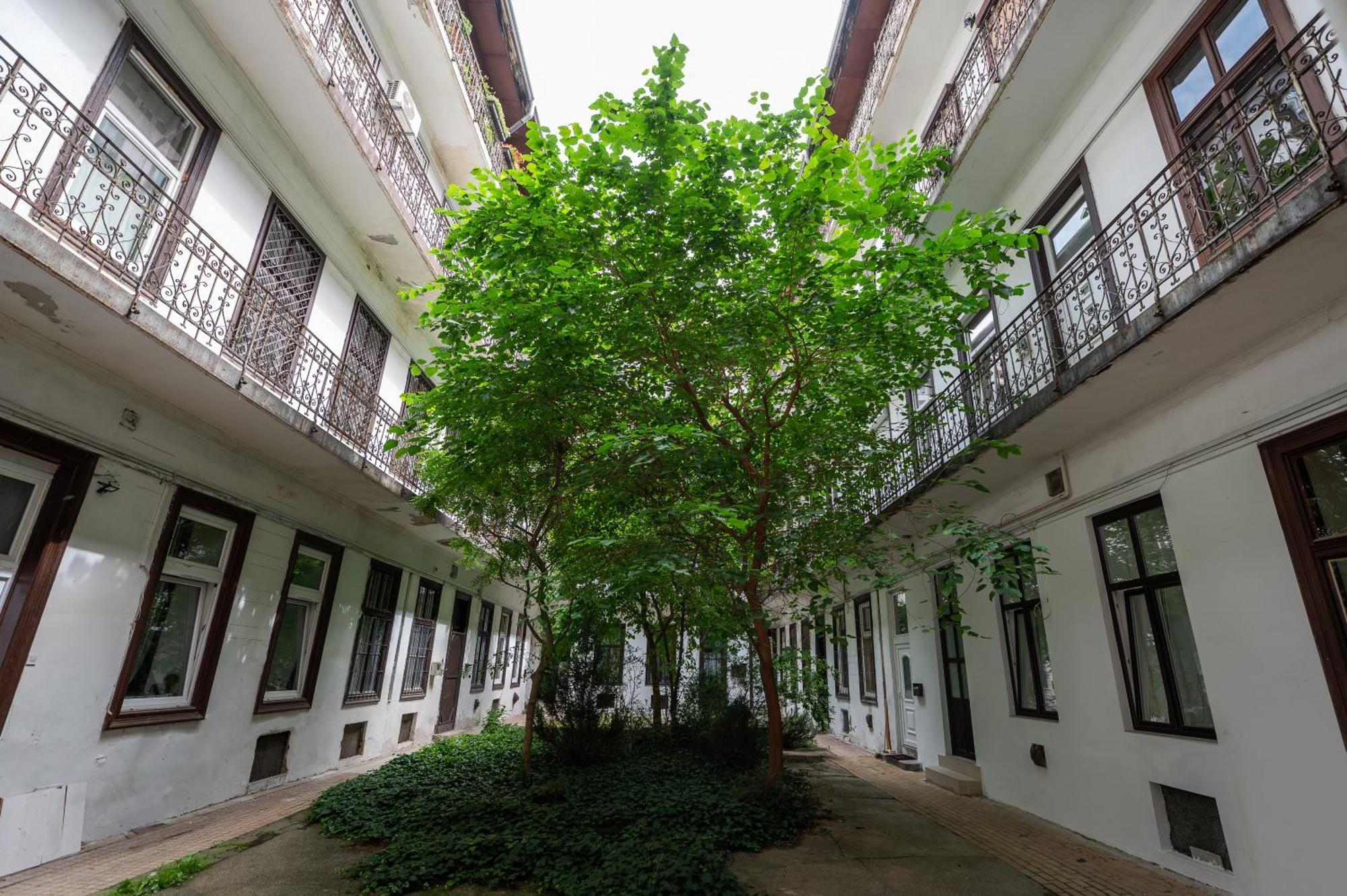 Apartman V531 Elitehost Voeroesmarty