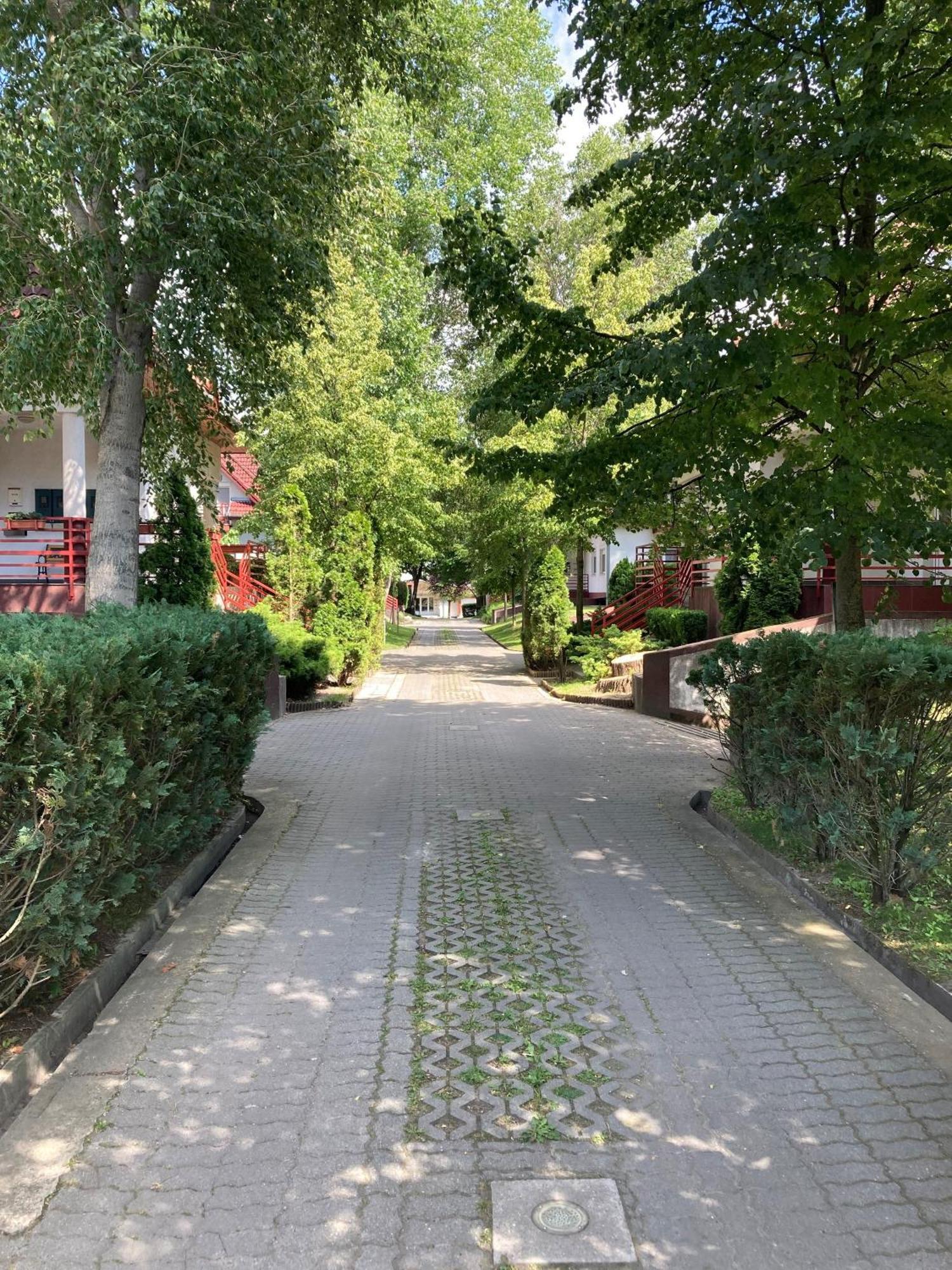 Apartment Kiraly Csaladi Apartman- Royal Family #freegarage Budapest