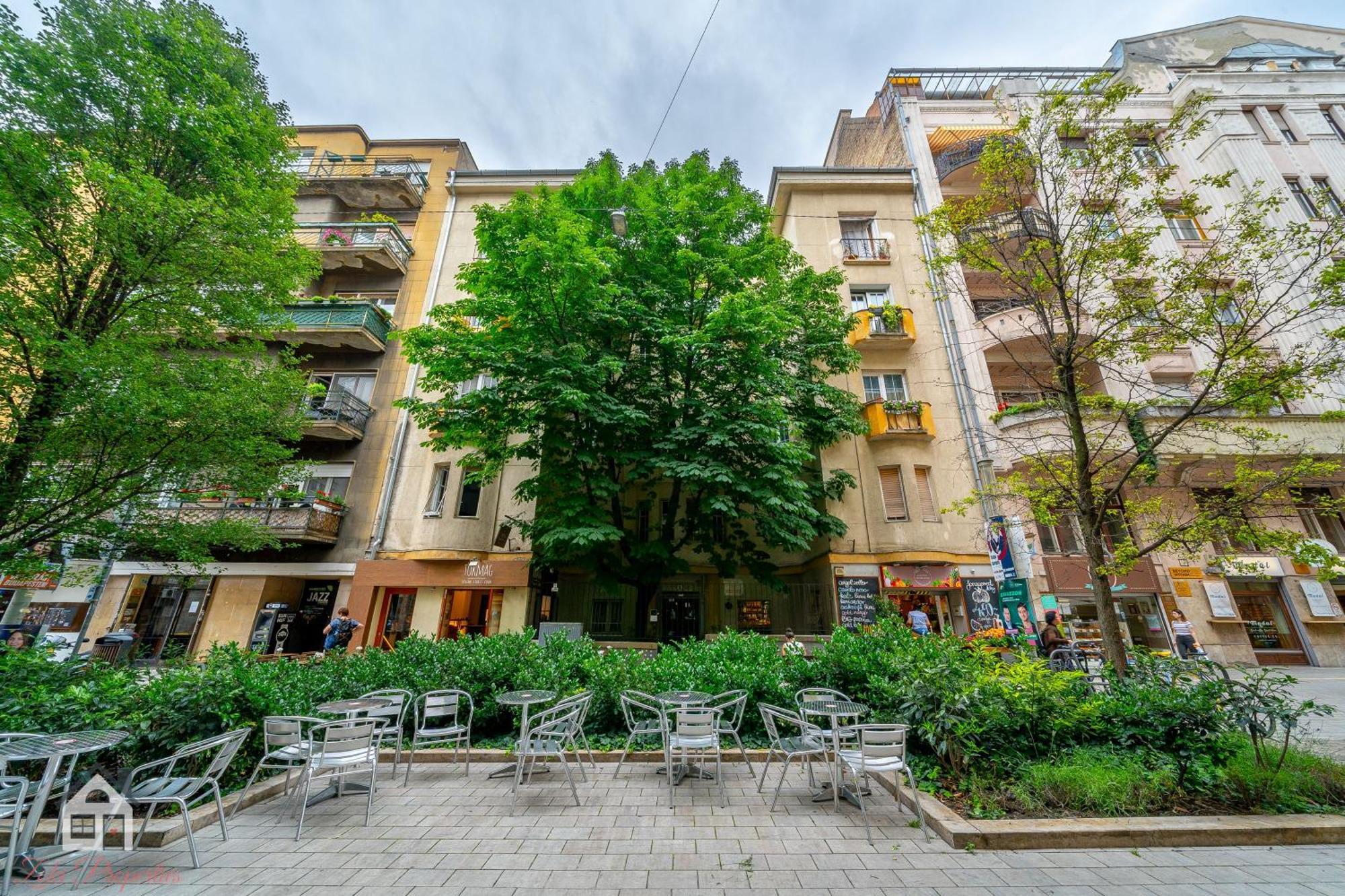 Acme Guest house