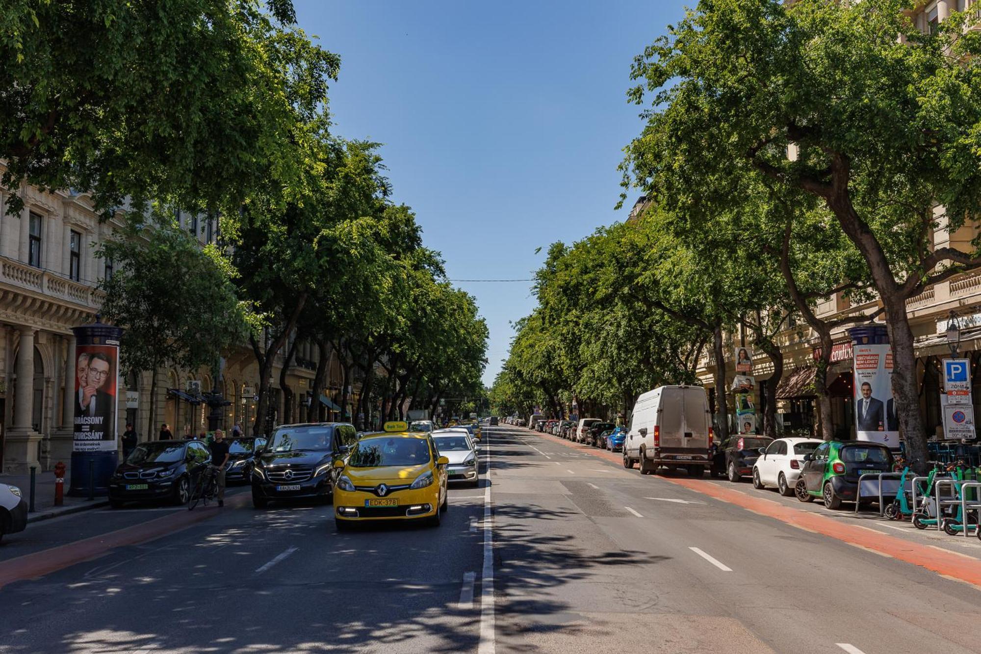 Little Treasure At Liszt With Free Parking Apartmán