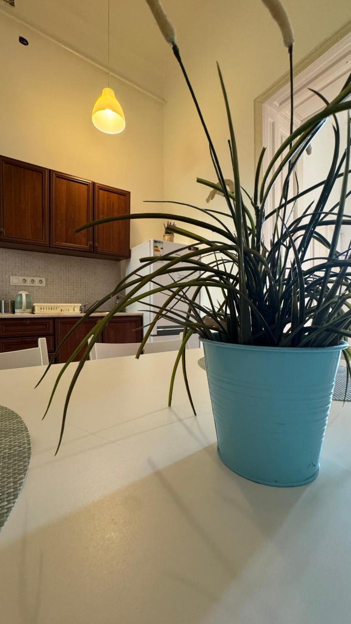 Apartamento Danube Vista *