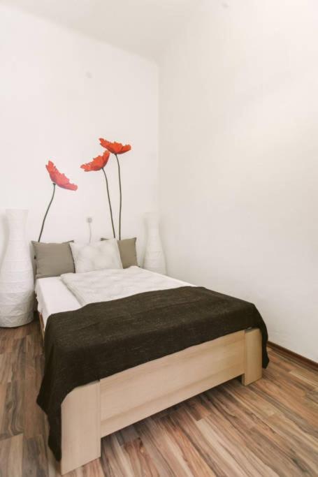 Szazadfordulos Elegans Lakas Erkellyel Apartment *