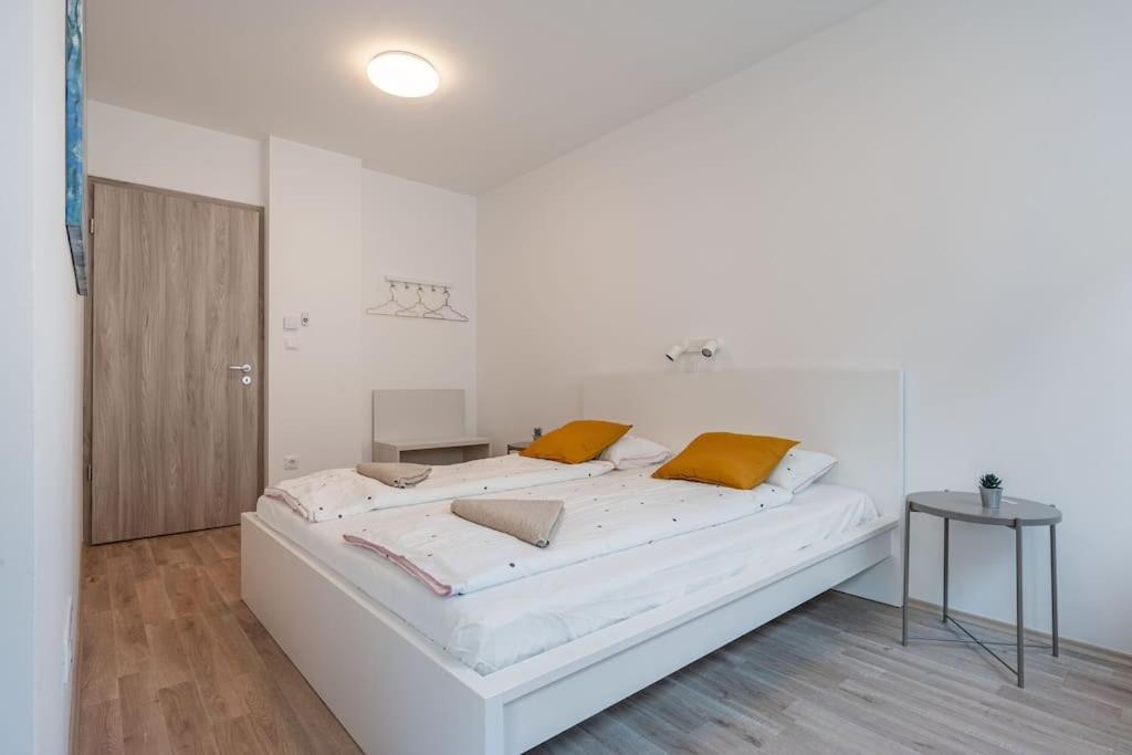 Big With Garage & Balcony & Ac & Lift