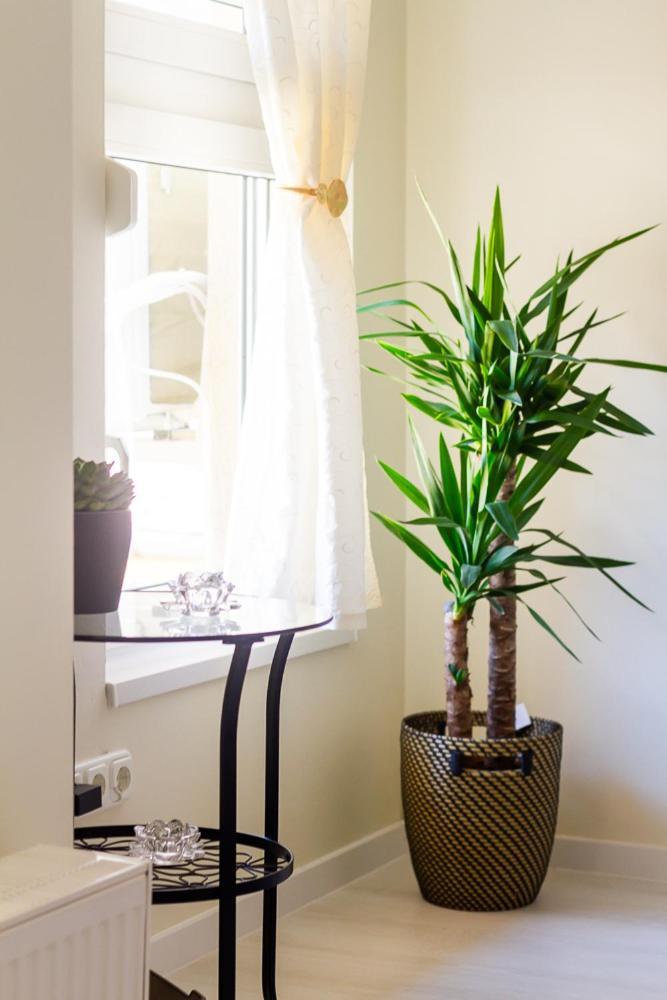 Apartamento Starlight Haven By Nw *