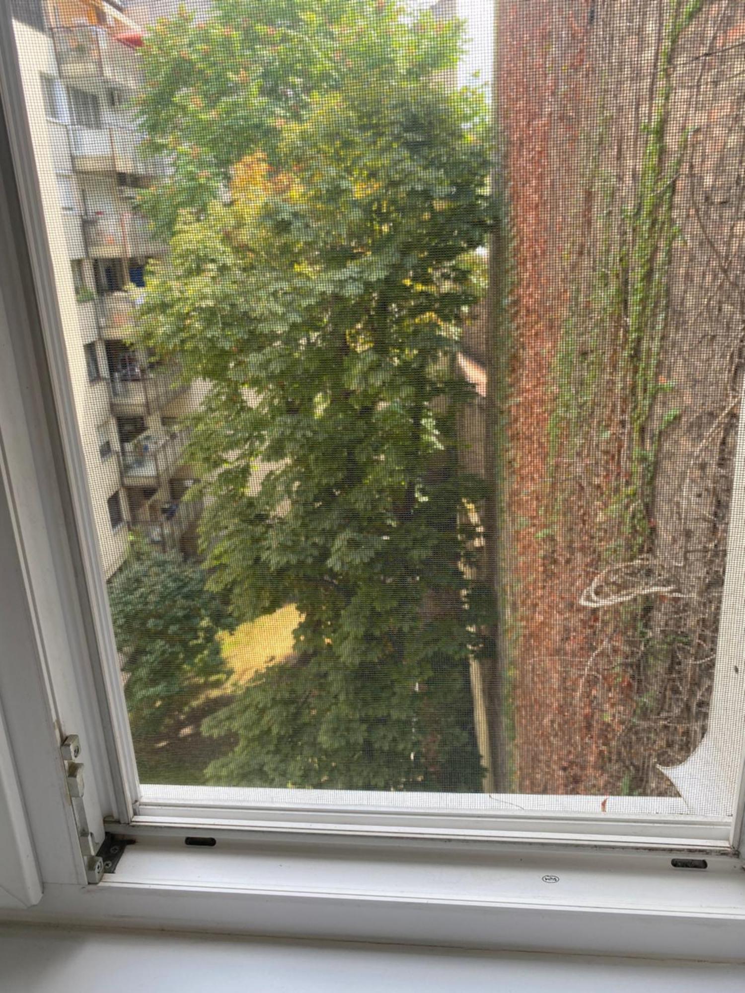 Oasis One Bedroom For Renting Apartmán Budapest