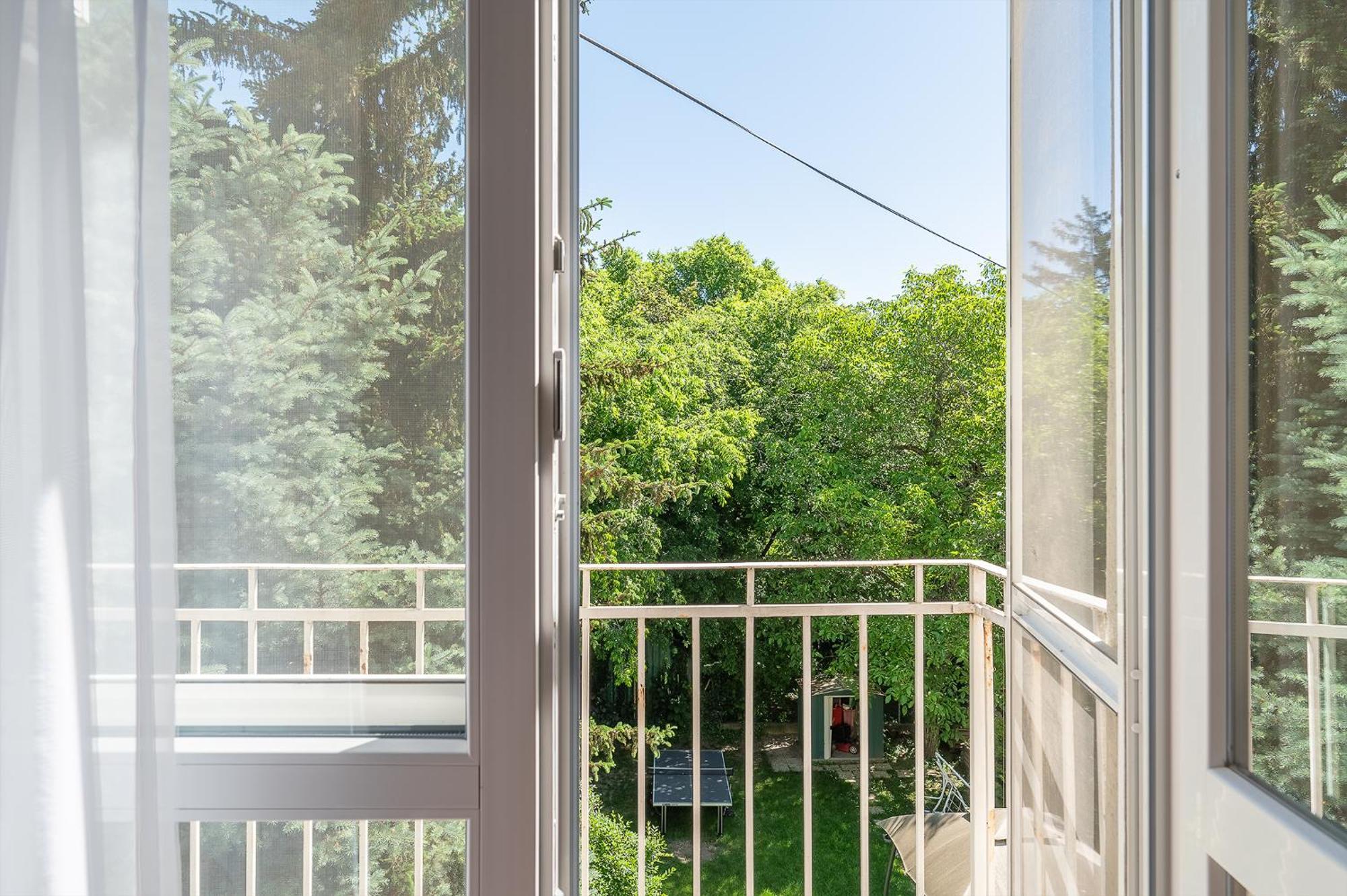Appartement Bambusz