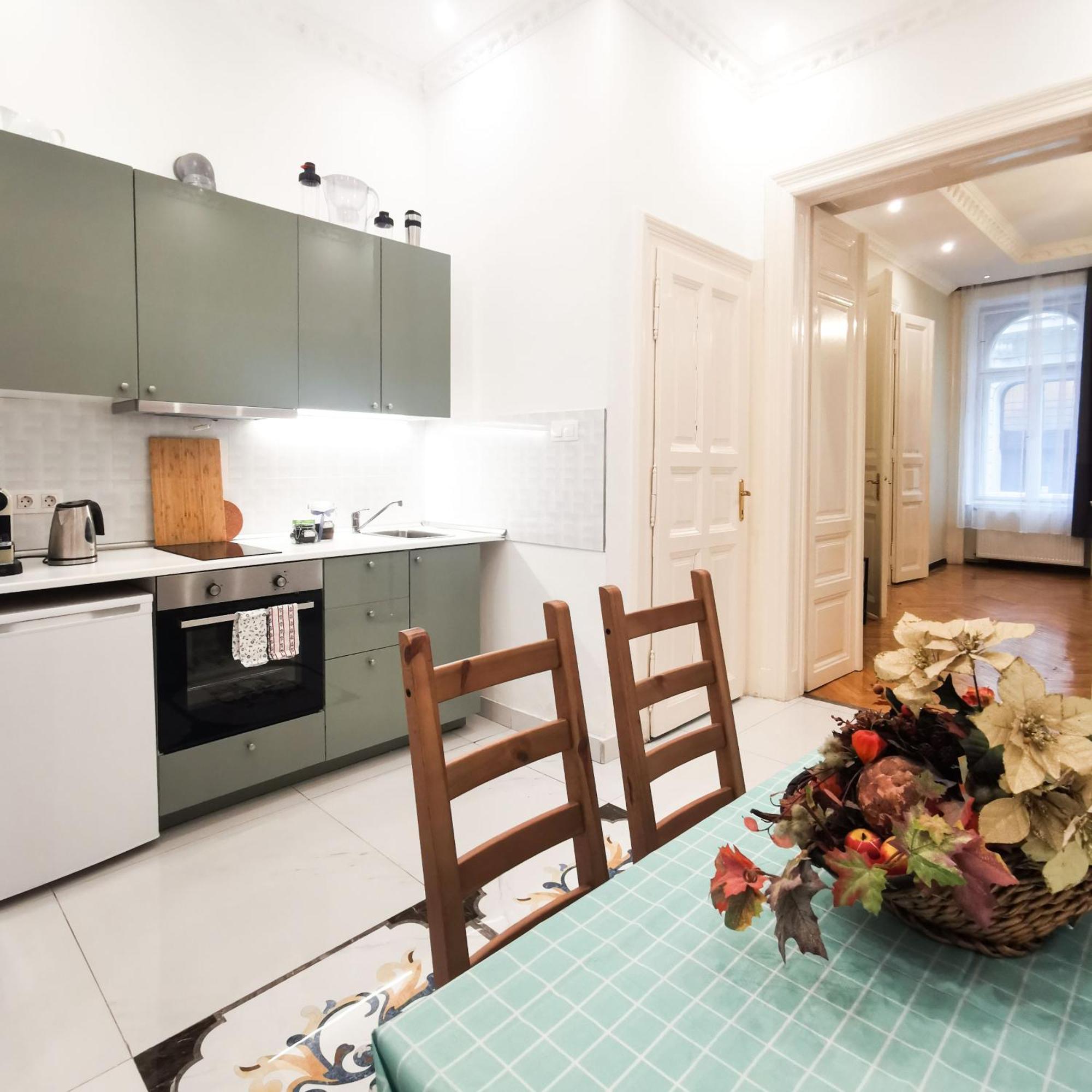 Ditroi Large Apartment *