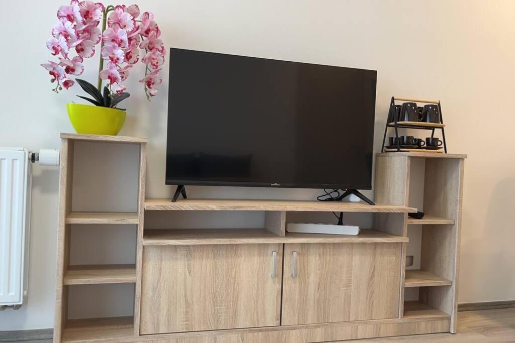 Modern With Garage *