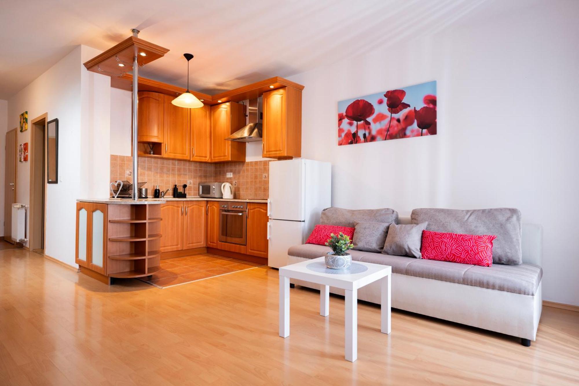 Apartment Carmen Center *