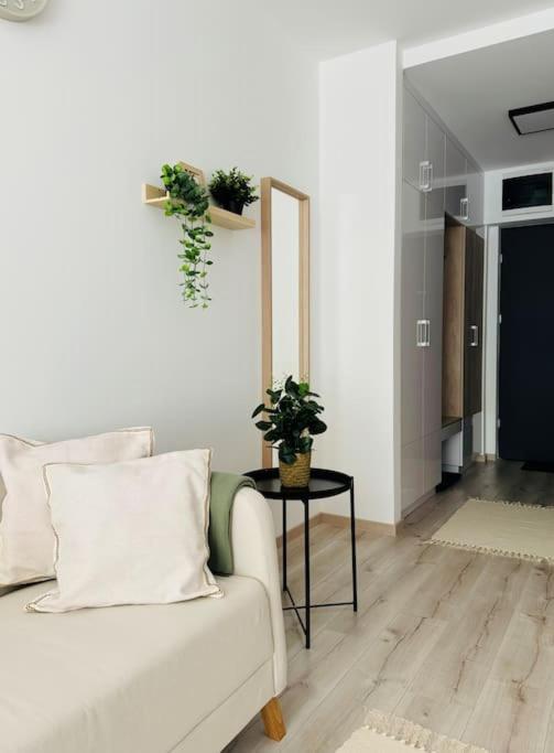 Apartment Illes Residence-cosy Central Flat