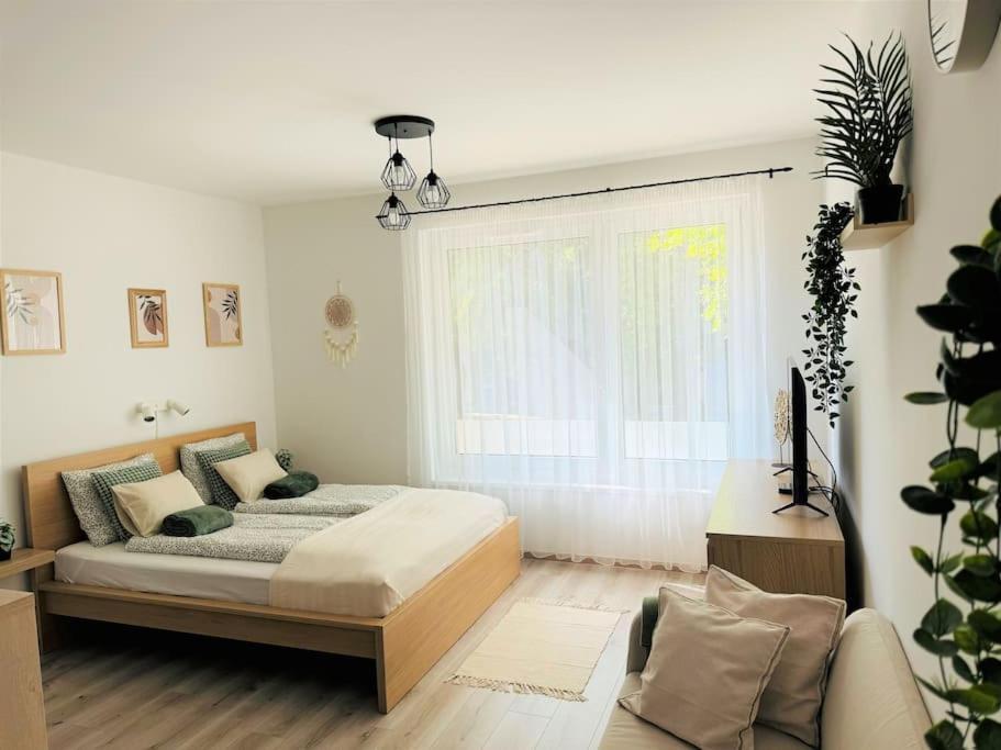 Illes Residence-cosy Central Flat Apartment