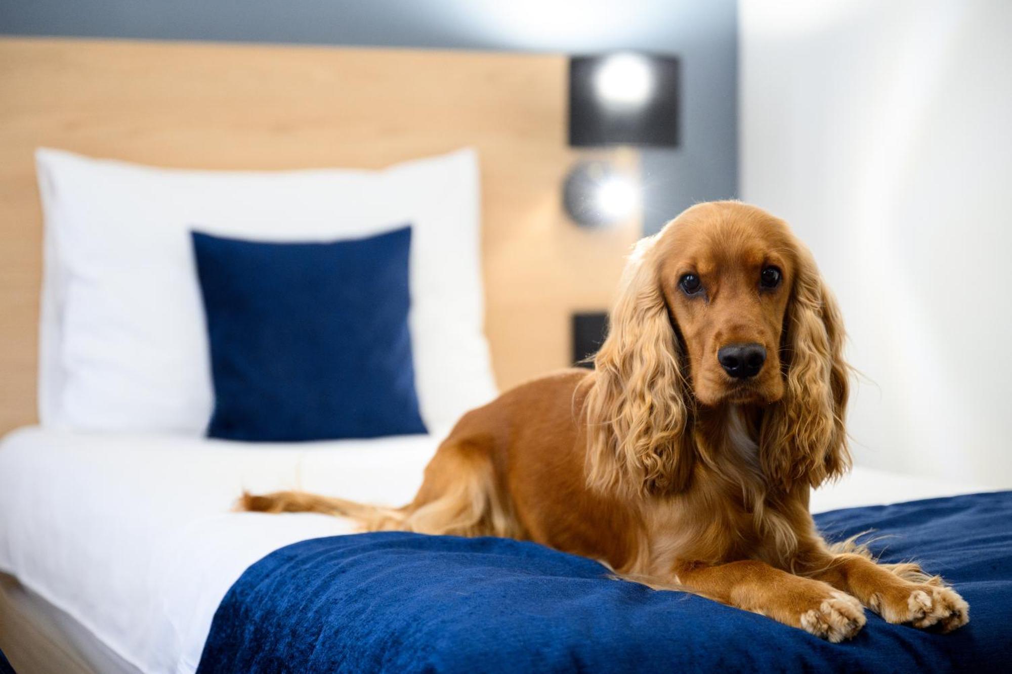 Bristol Hotel 4*
