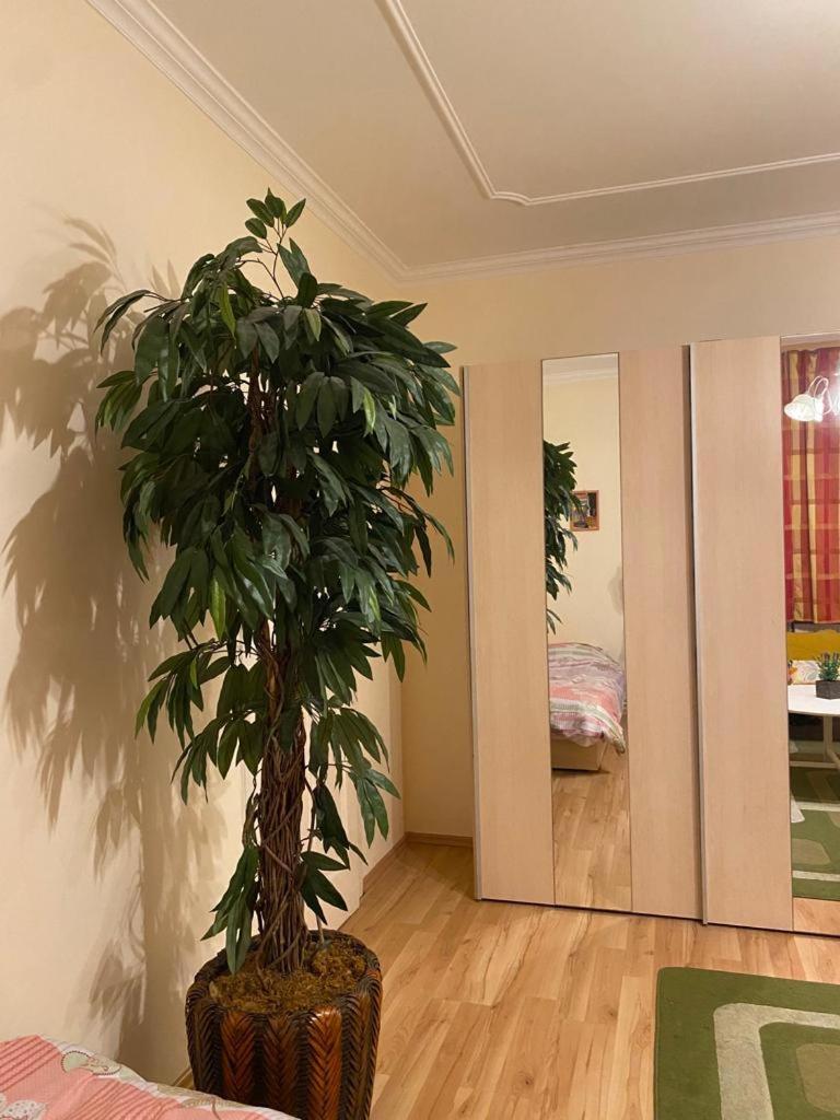 Apartamento Albert Apartment Budapest