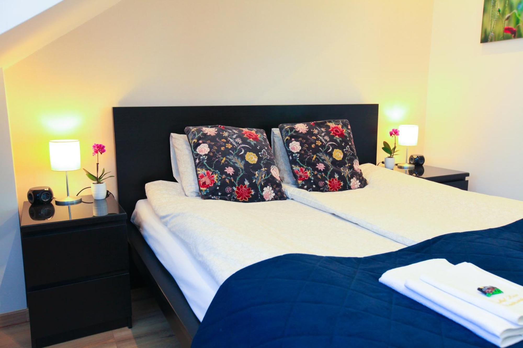 Paskal-lux With Free Parking And Air Conditioner Budapest