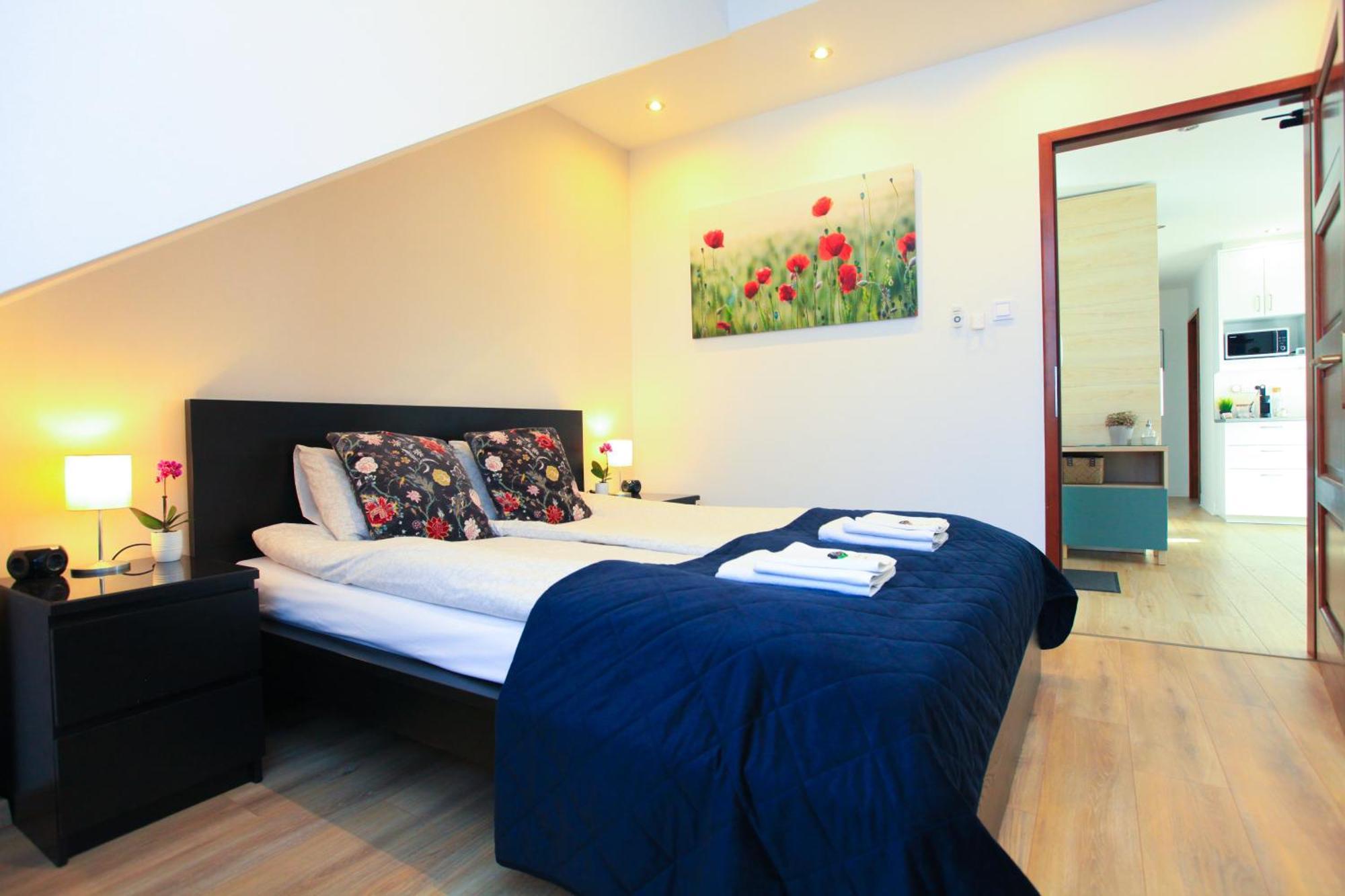 Paskal-lux With Free Parking And Air Conditioner