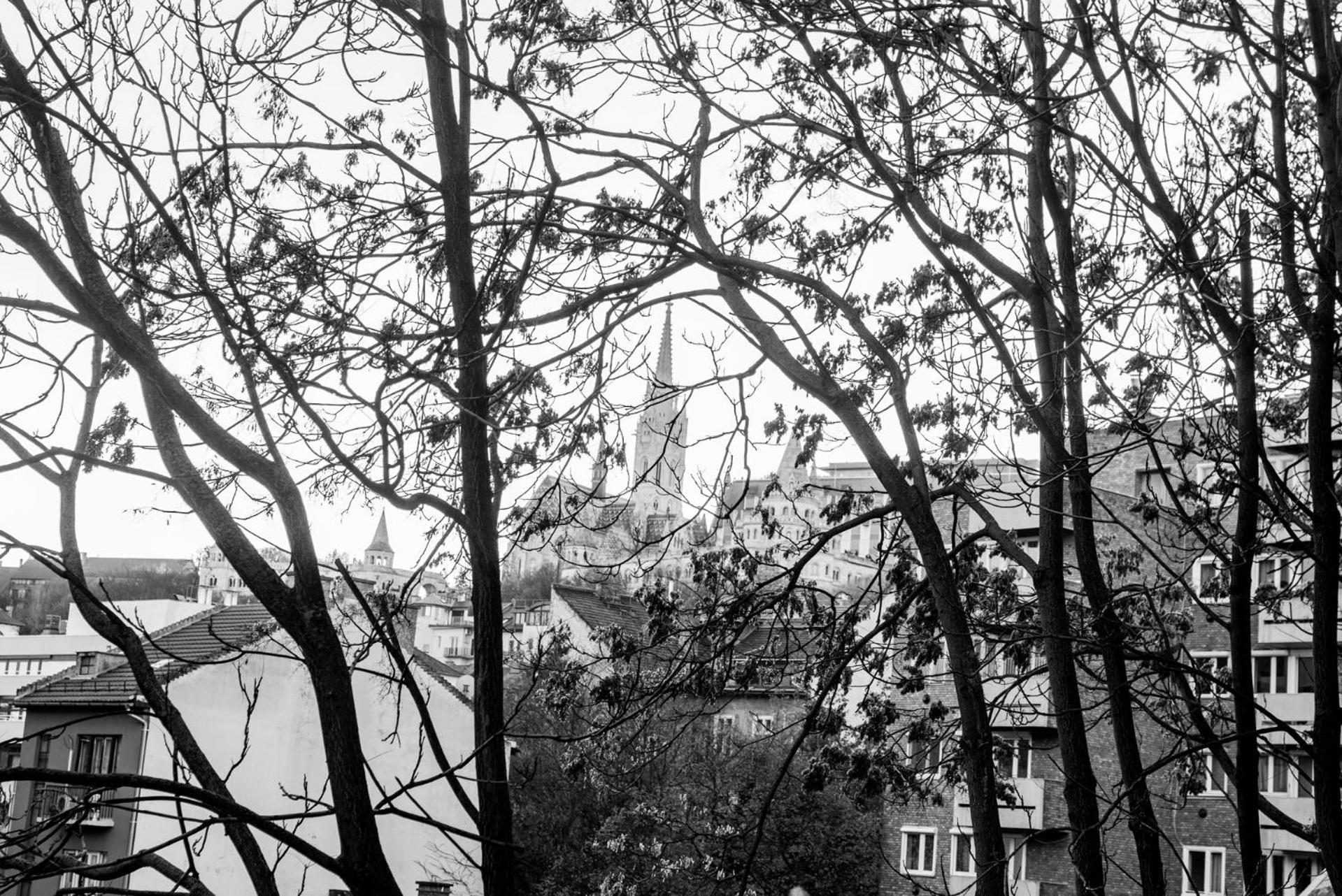 With Parliament View Appartement *