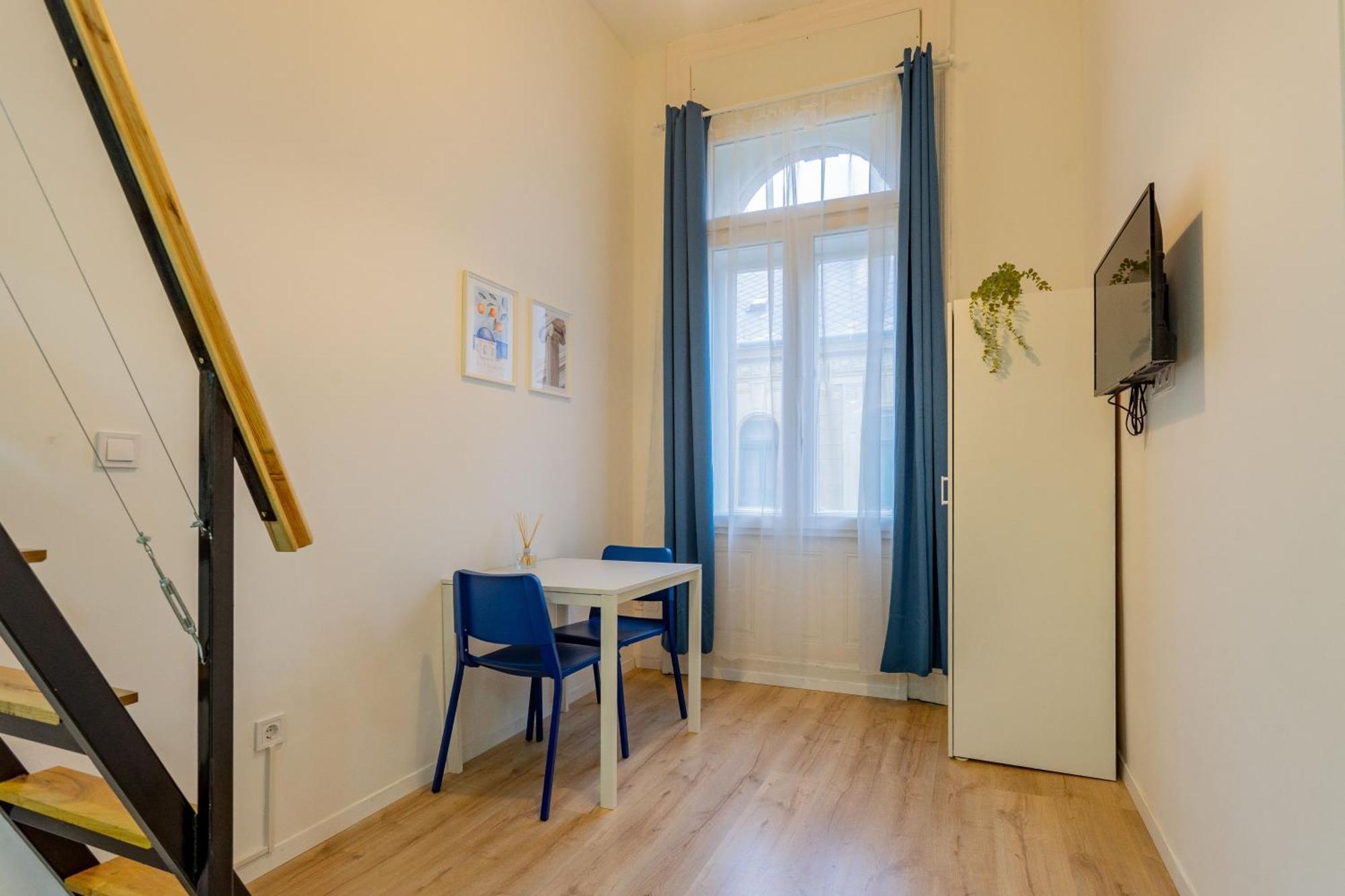 Rakoczi Apartment *