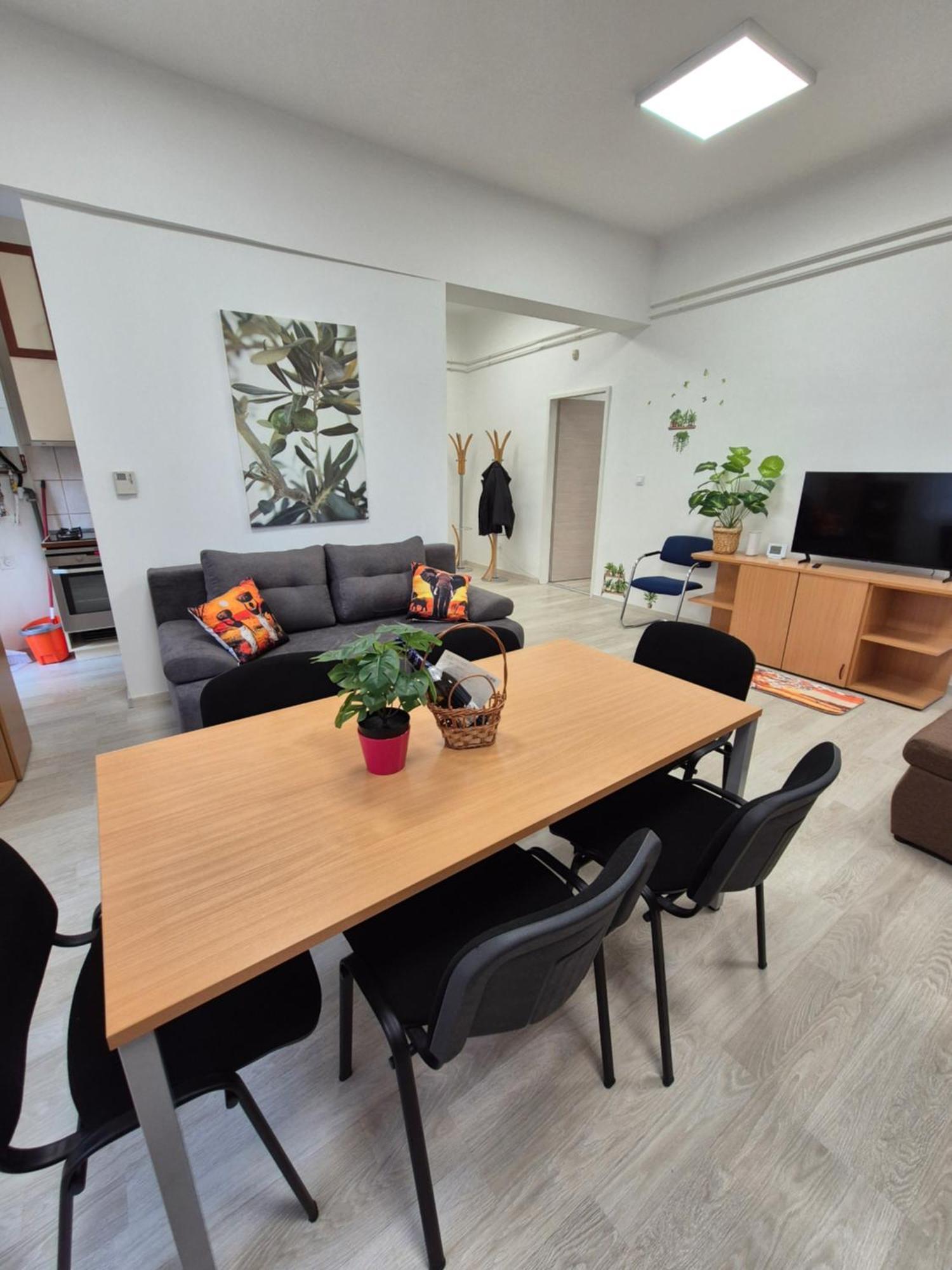 Safari Appartement *
