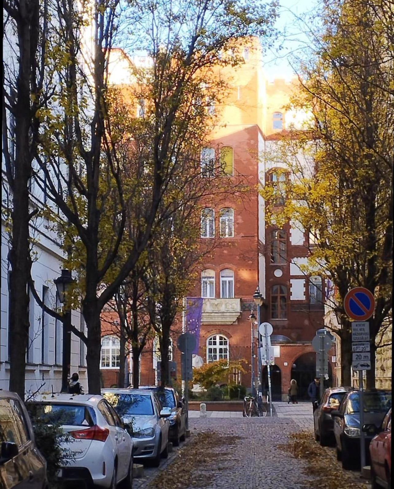 Cedar - Palace District * Budapest