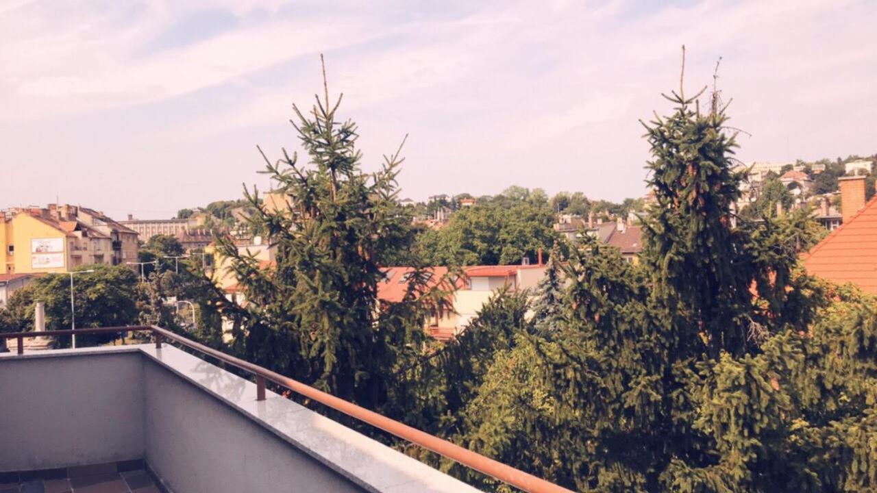 Carolina Appartement *