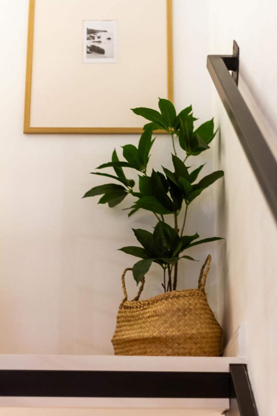 Apartamento Budavibe W Ac By Nw