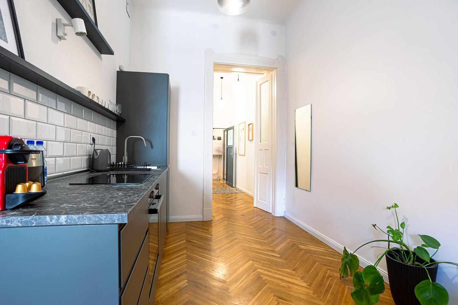 Tas Vas - Charming In Budapest