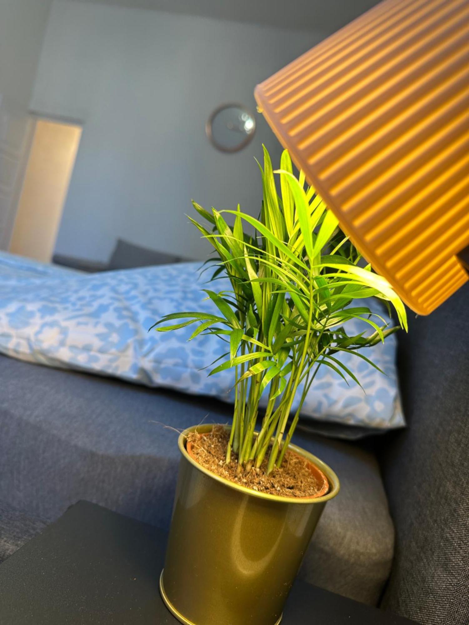 Deri Corner By Downtown Apartmán Budapešť