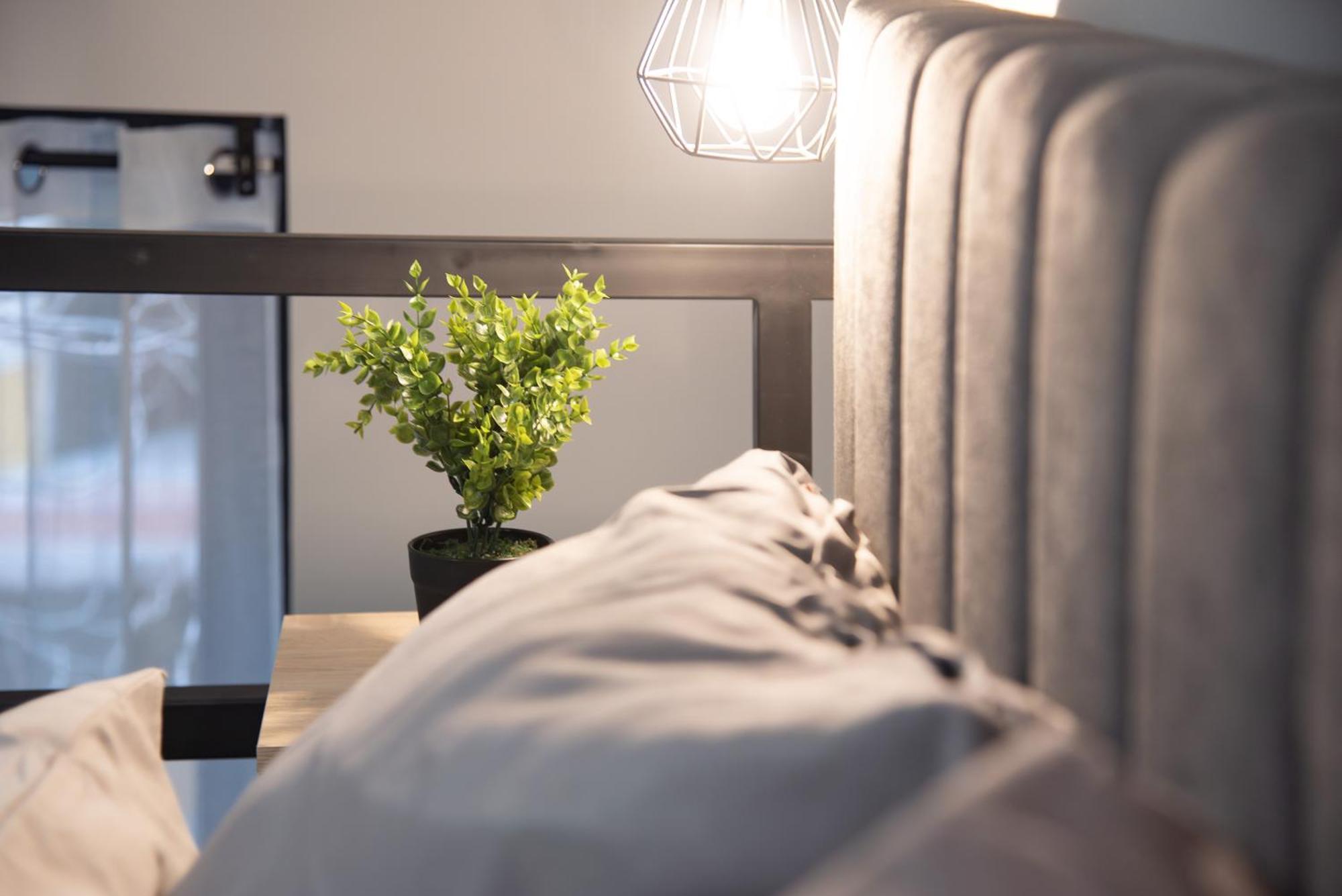 Appartamento Royal Vintage Loft With 2 Bathrooms *