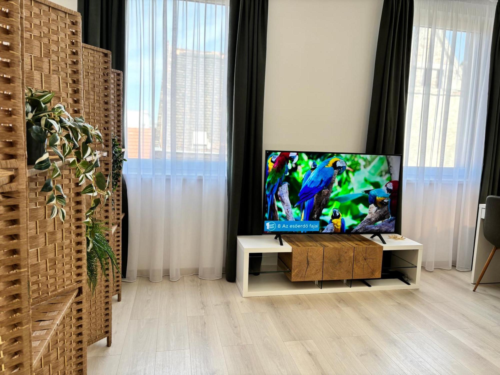 Apartman Spirit With Free Parking