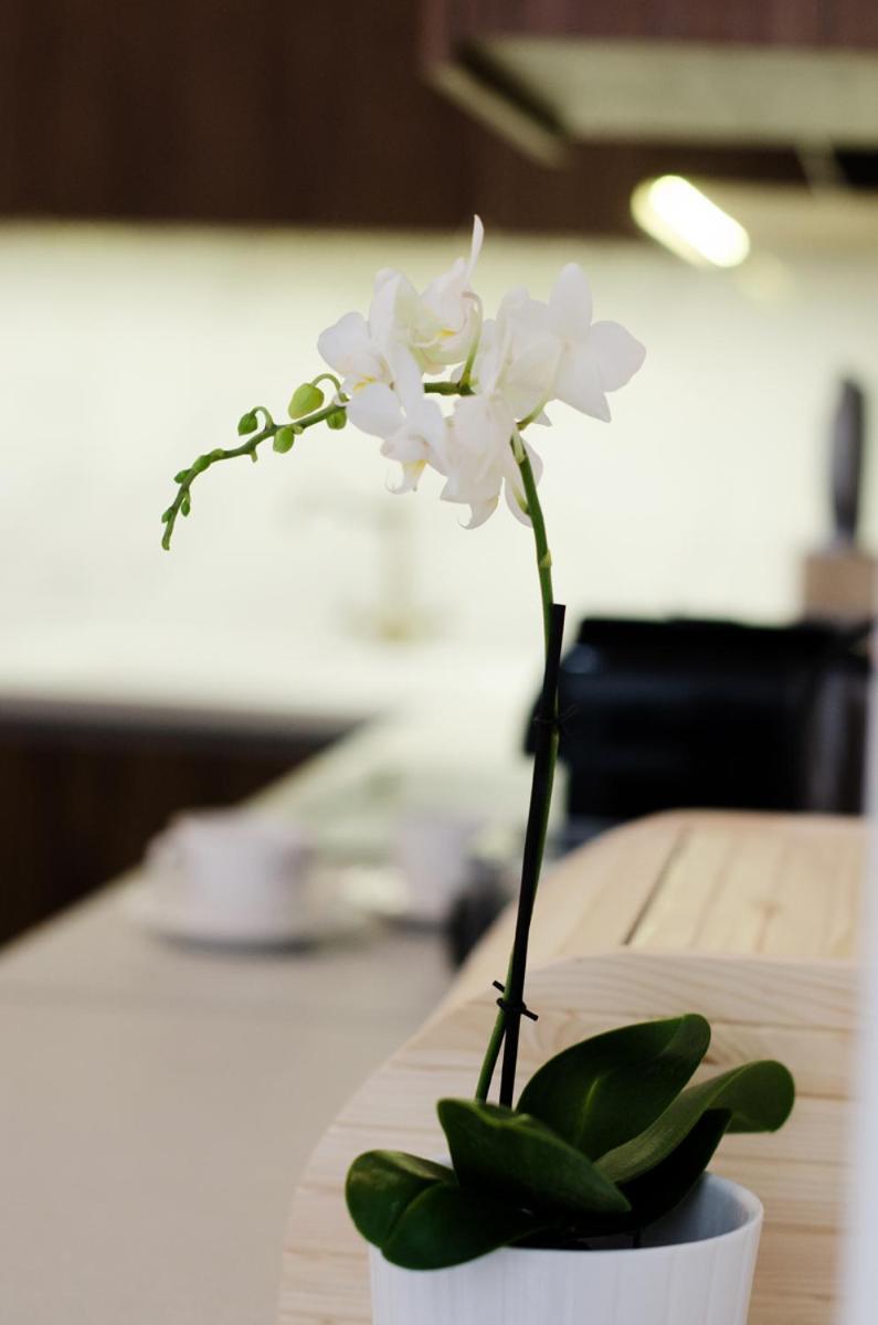Luxury By Hi5 - Location 3-br * Budapest