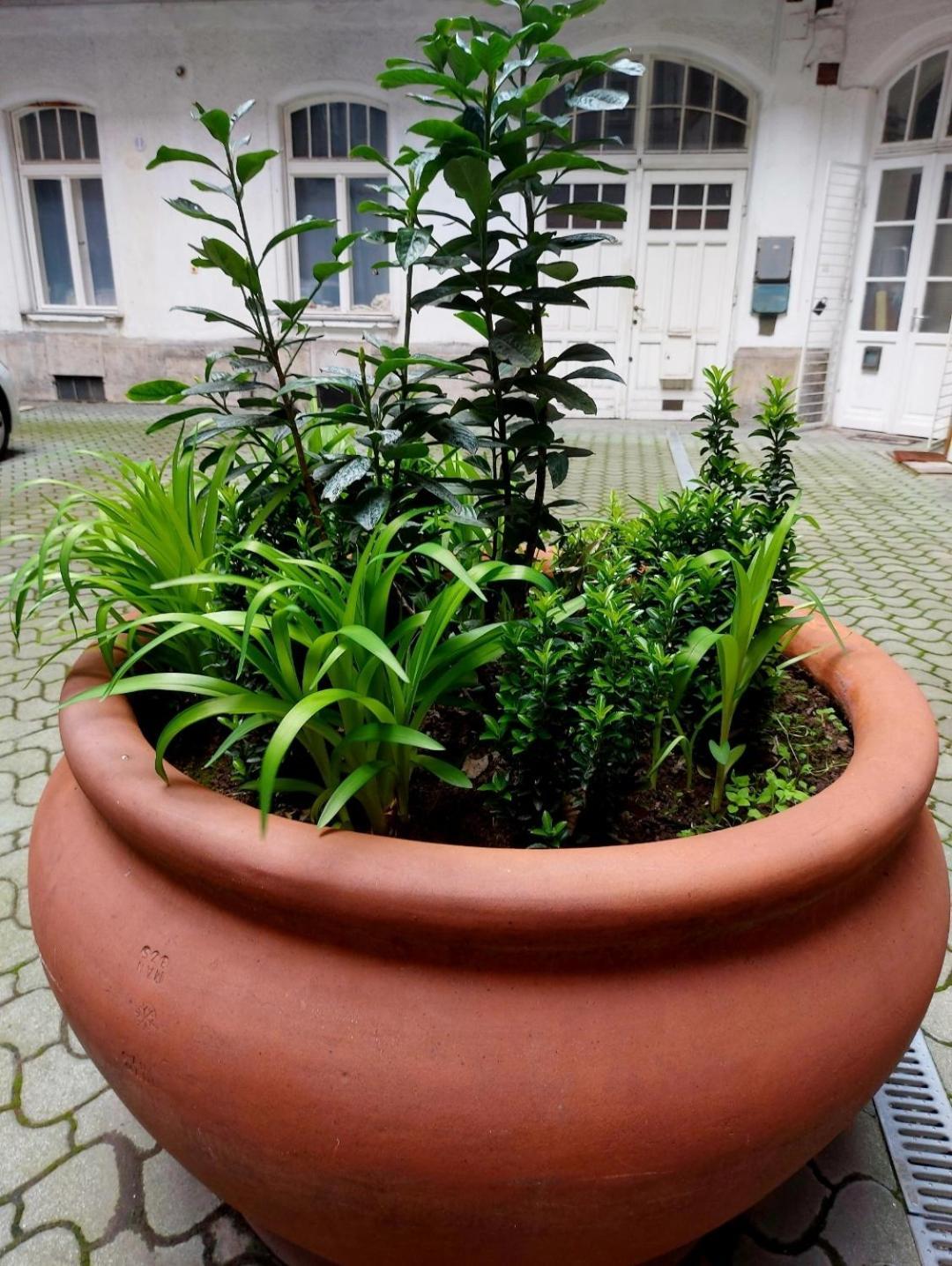 Like Centrum, Wifi, Terrace Apartment *