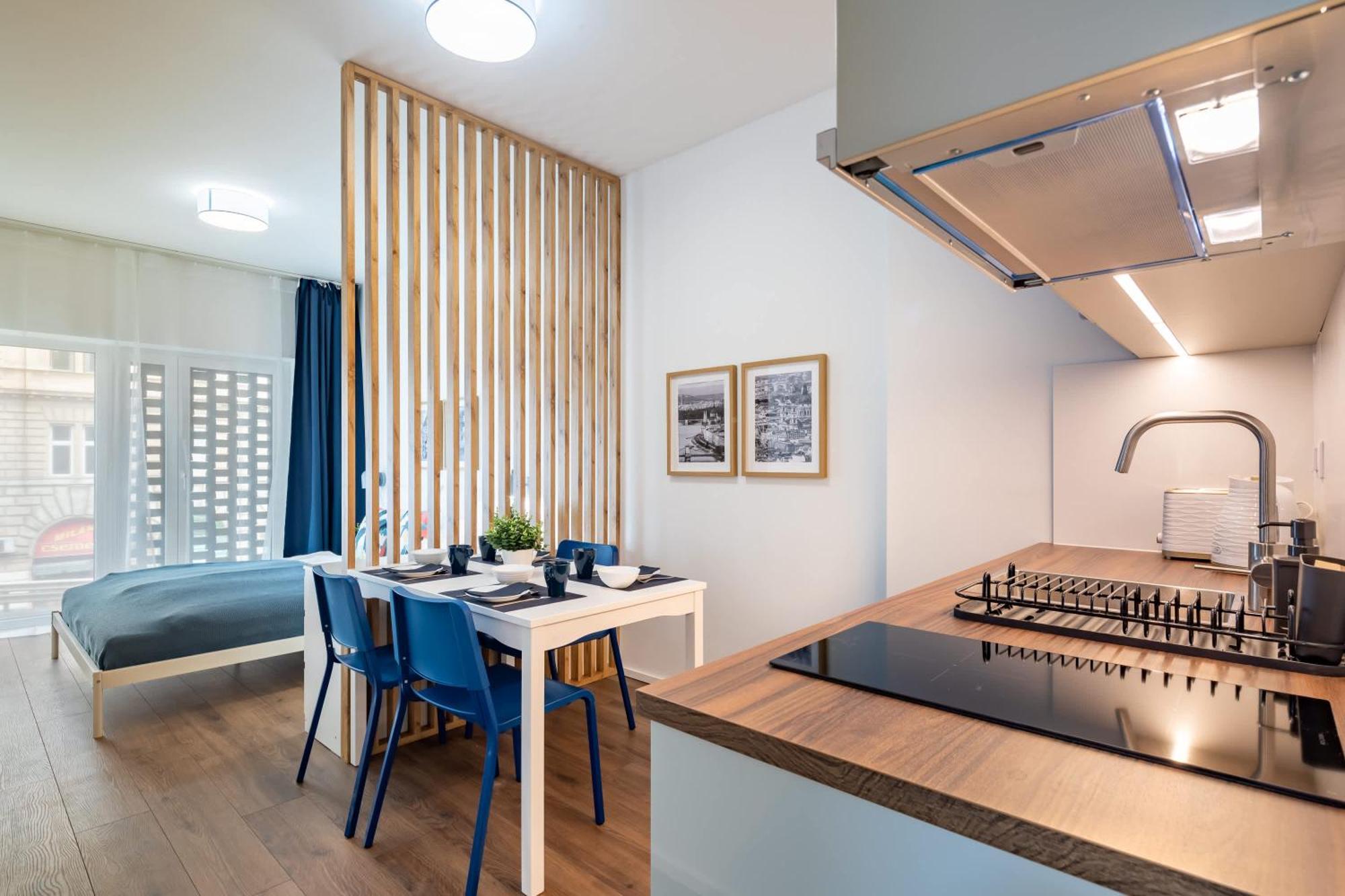 Apartment Spacious Oasis - Modern Design *