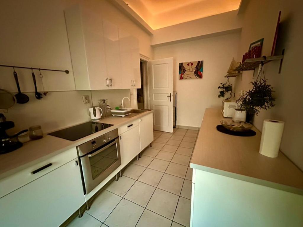 Apartamento Semmelweis *