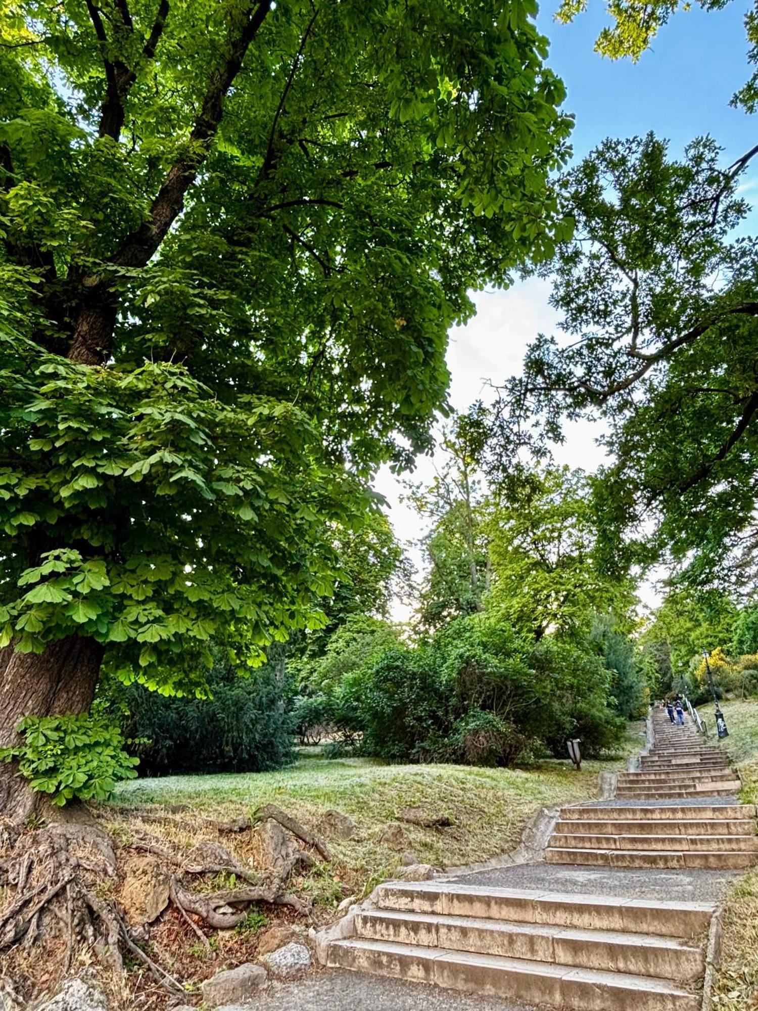 Gellert Square Family - Premium In Buda Side's Cultural Center