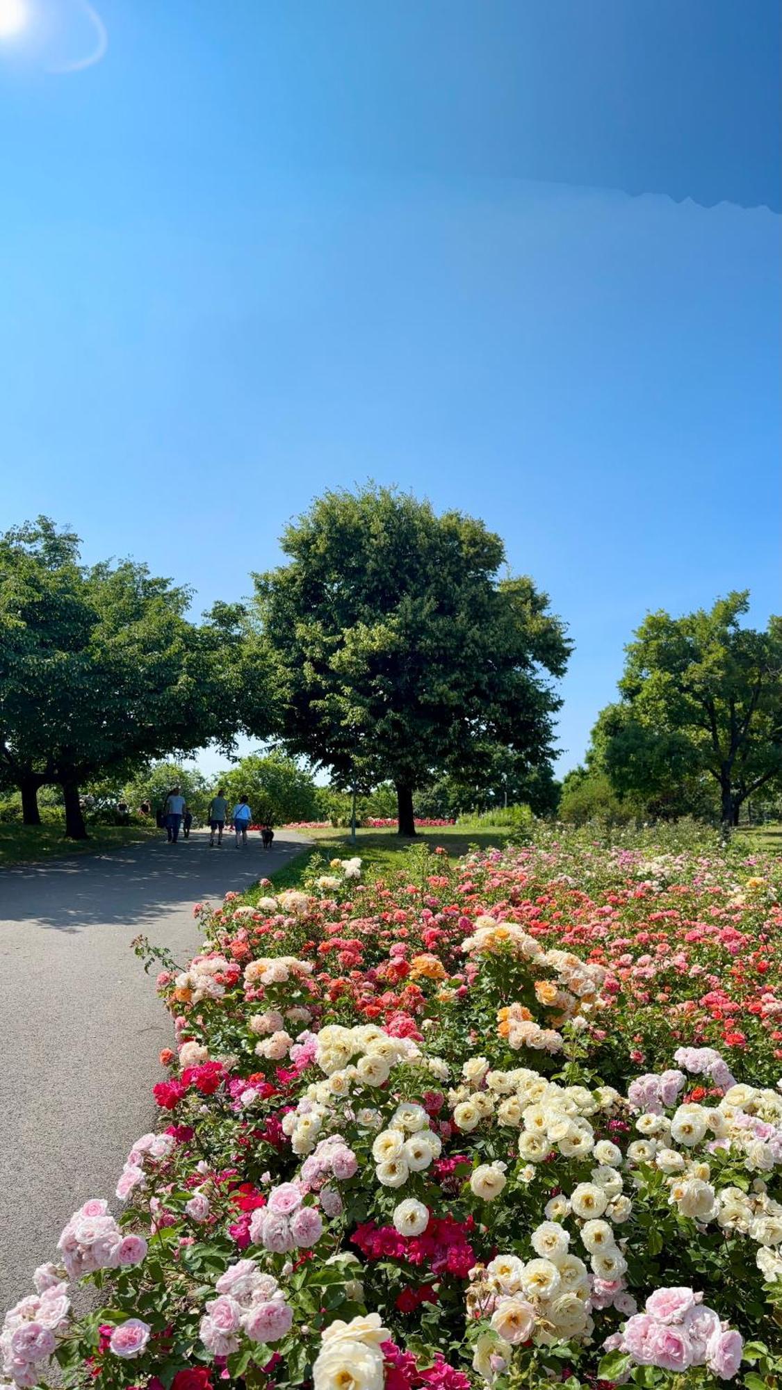 Gellert Square Family - Premium In Buda Side's Cultural Center