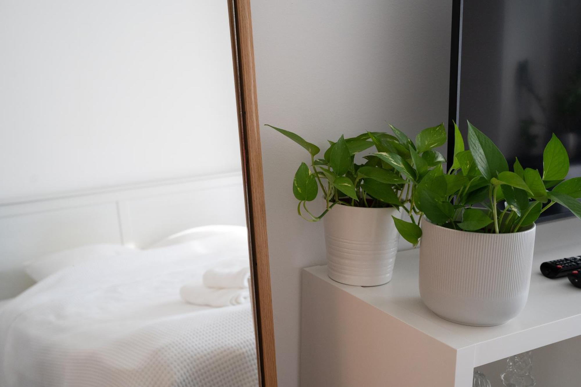 Apartment Artist's - Urban Oasis *