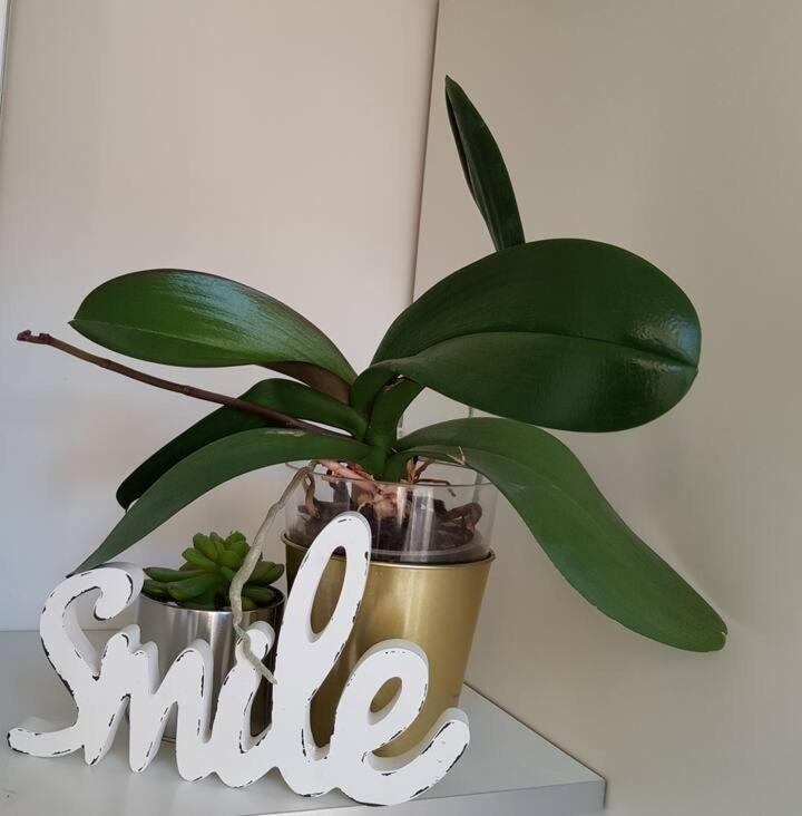 Apartamento Modern Flat With Perfect Location