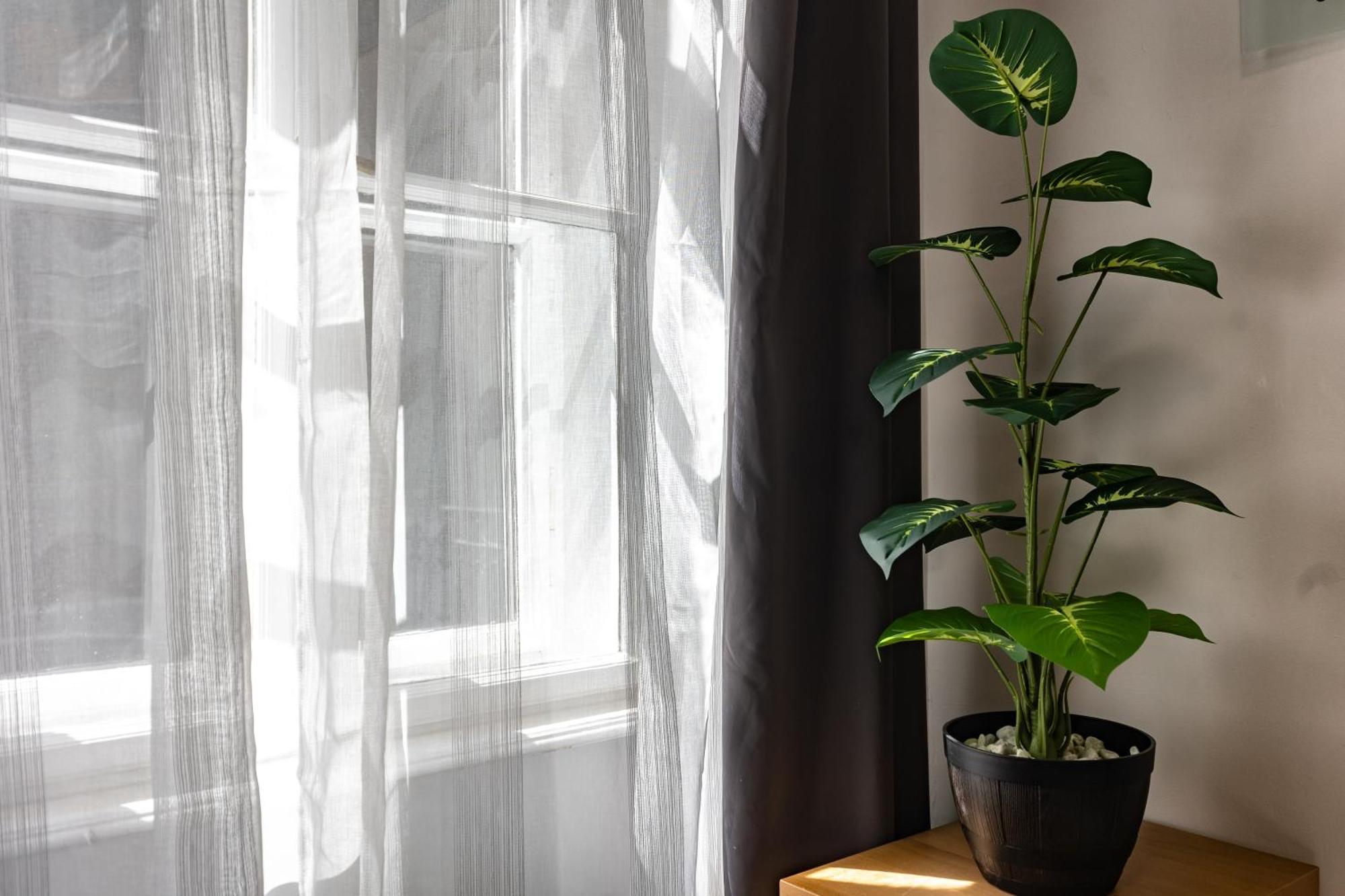 Maria Apartment Budapest